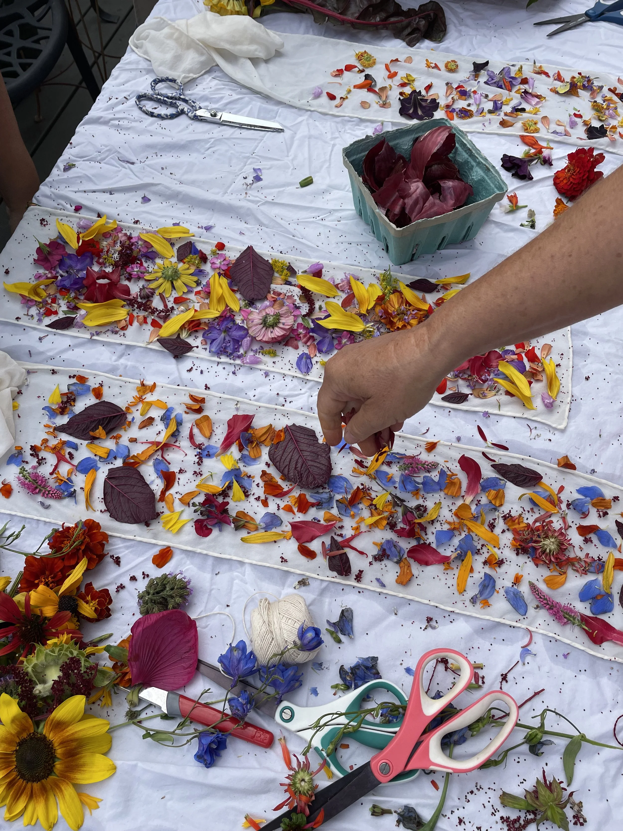 Botanical Bundle Dyeing