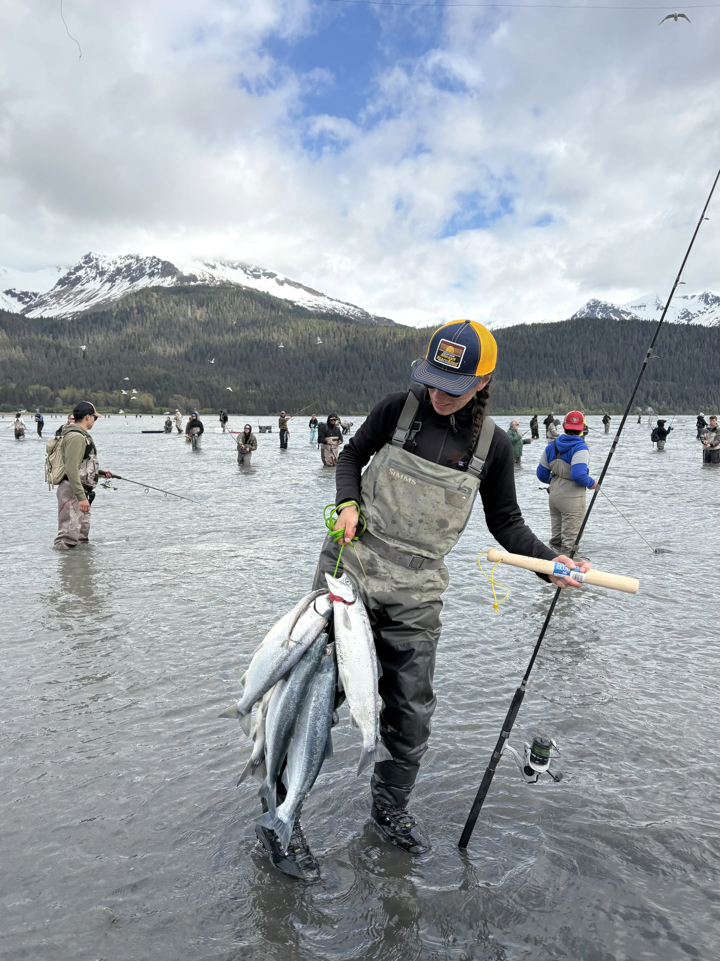 Sockeye Salmon