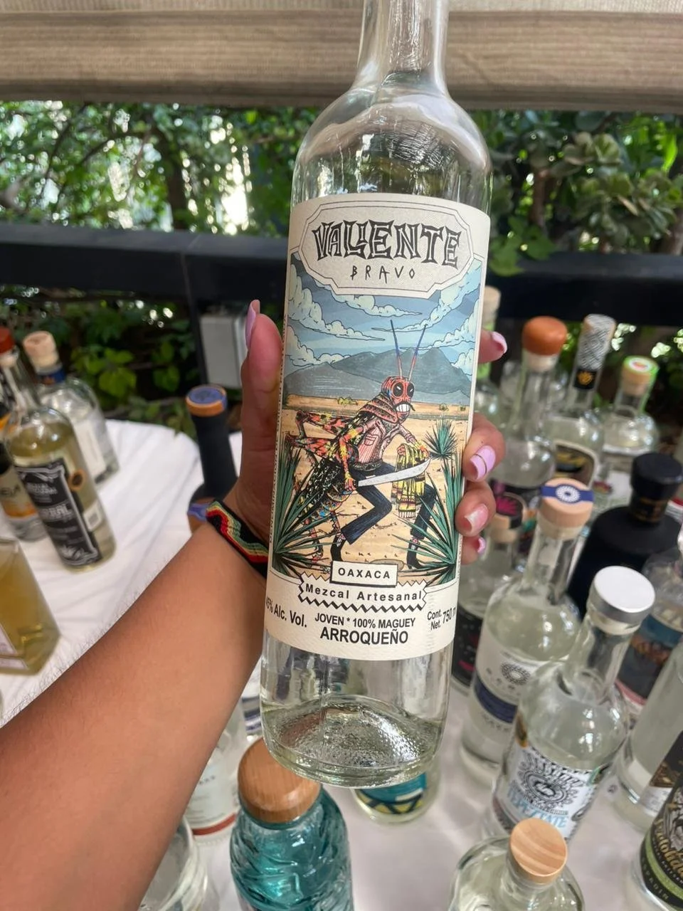 WhatsApp Image 2026-02-19 at 3.02.43 PM-3.jpeg