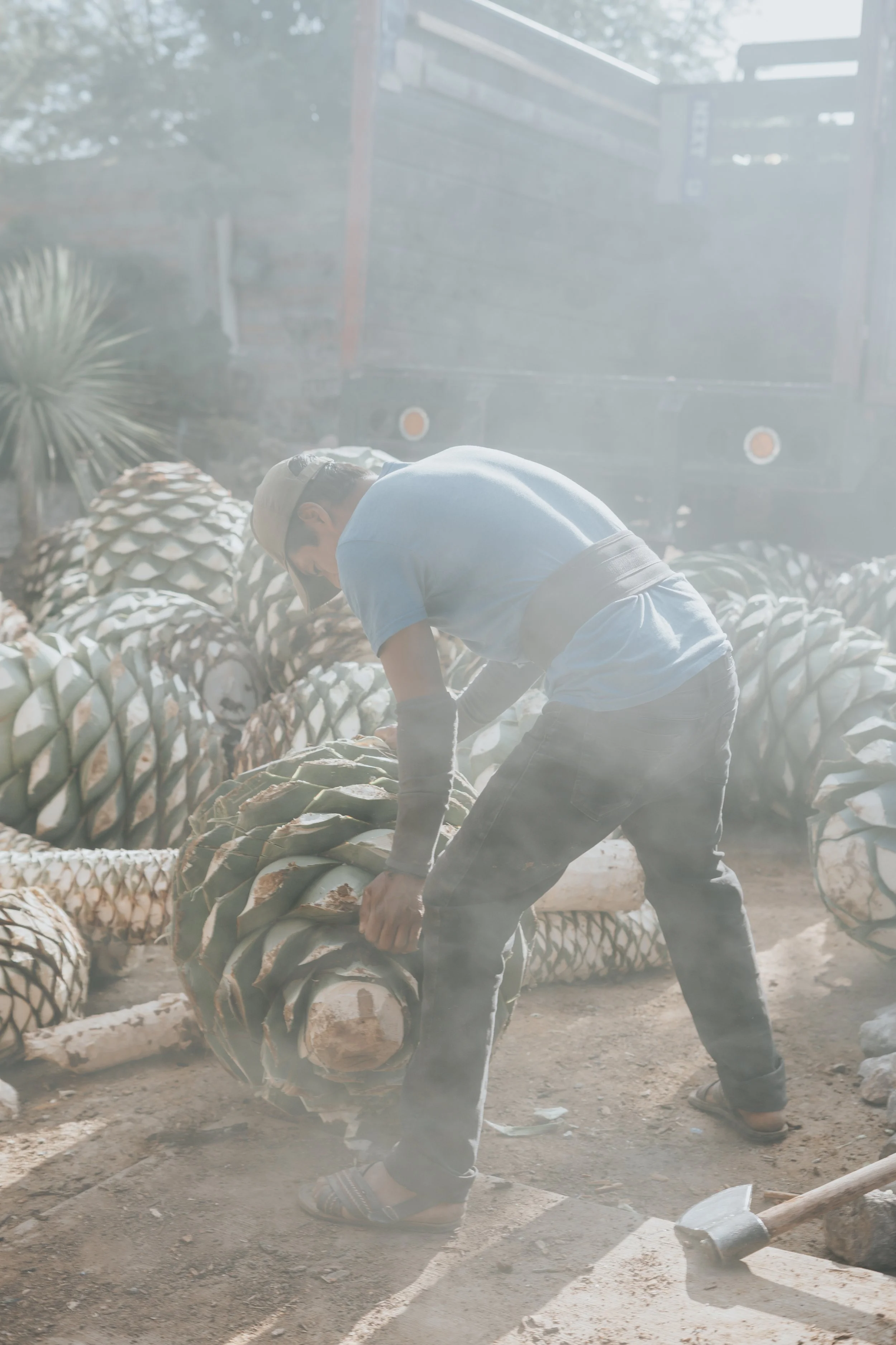 Hombre cargando una pila de piñas de agave mezcalero en un patio al aire libre, con un camión en el fondo.