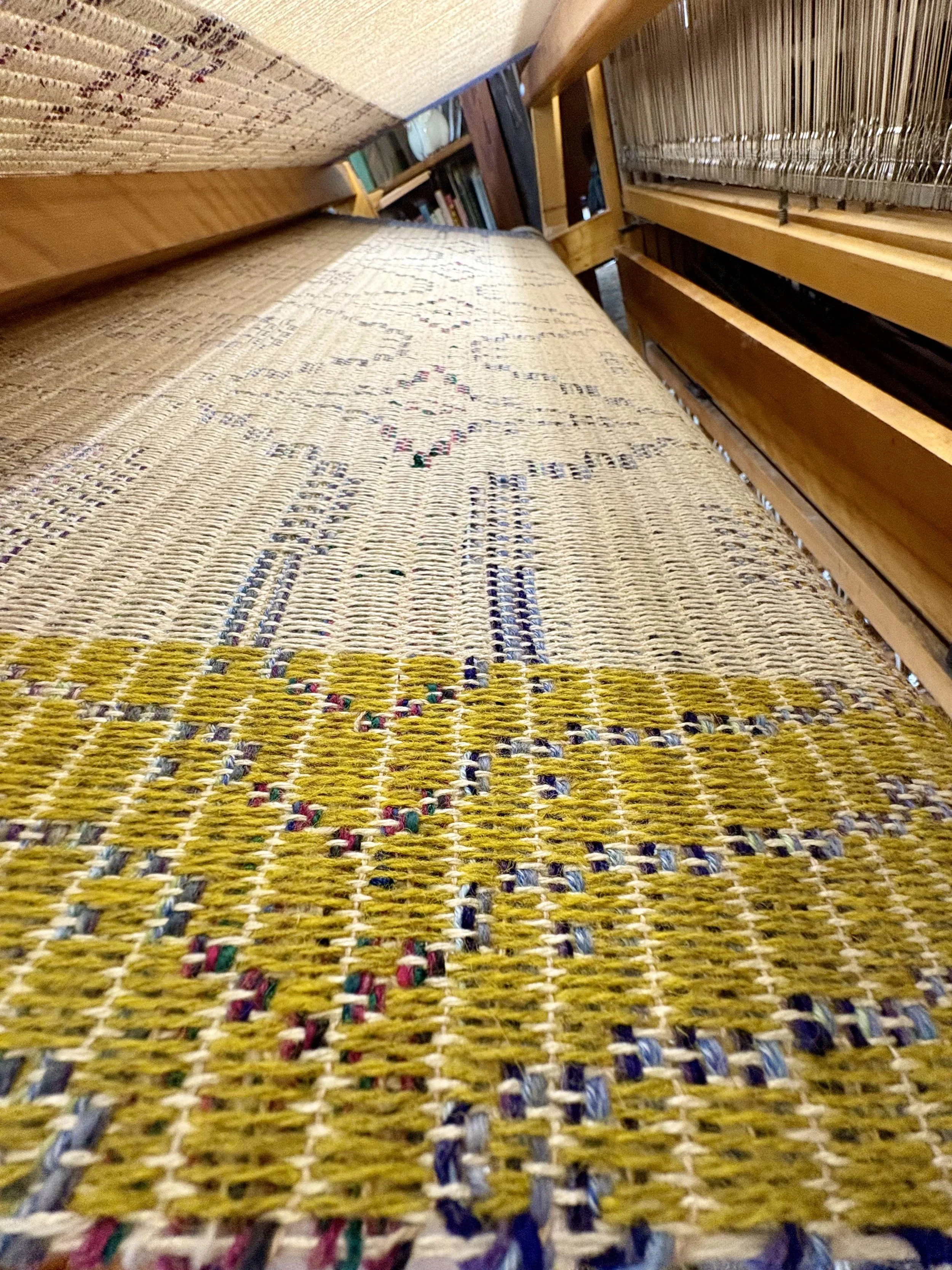 Summer&amp;Winter imagery