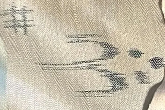 The Swallows Embrace: Weaving Friendship