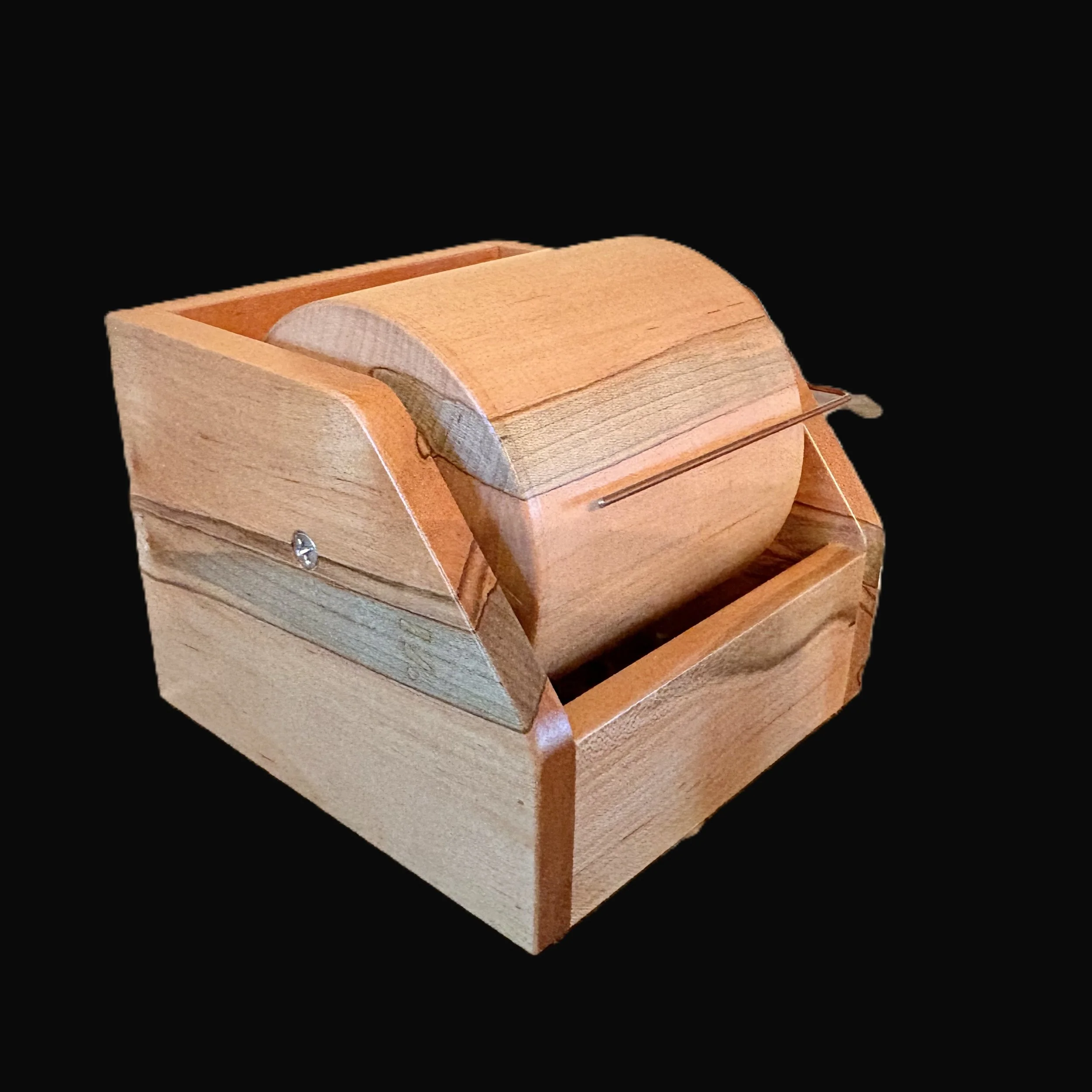 Ambrosia Beetle no background.jpg