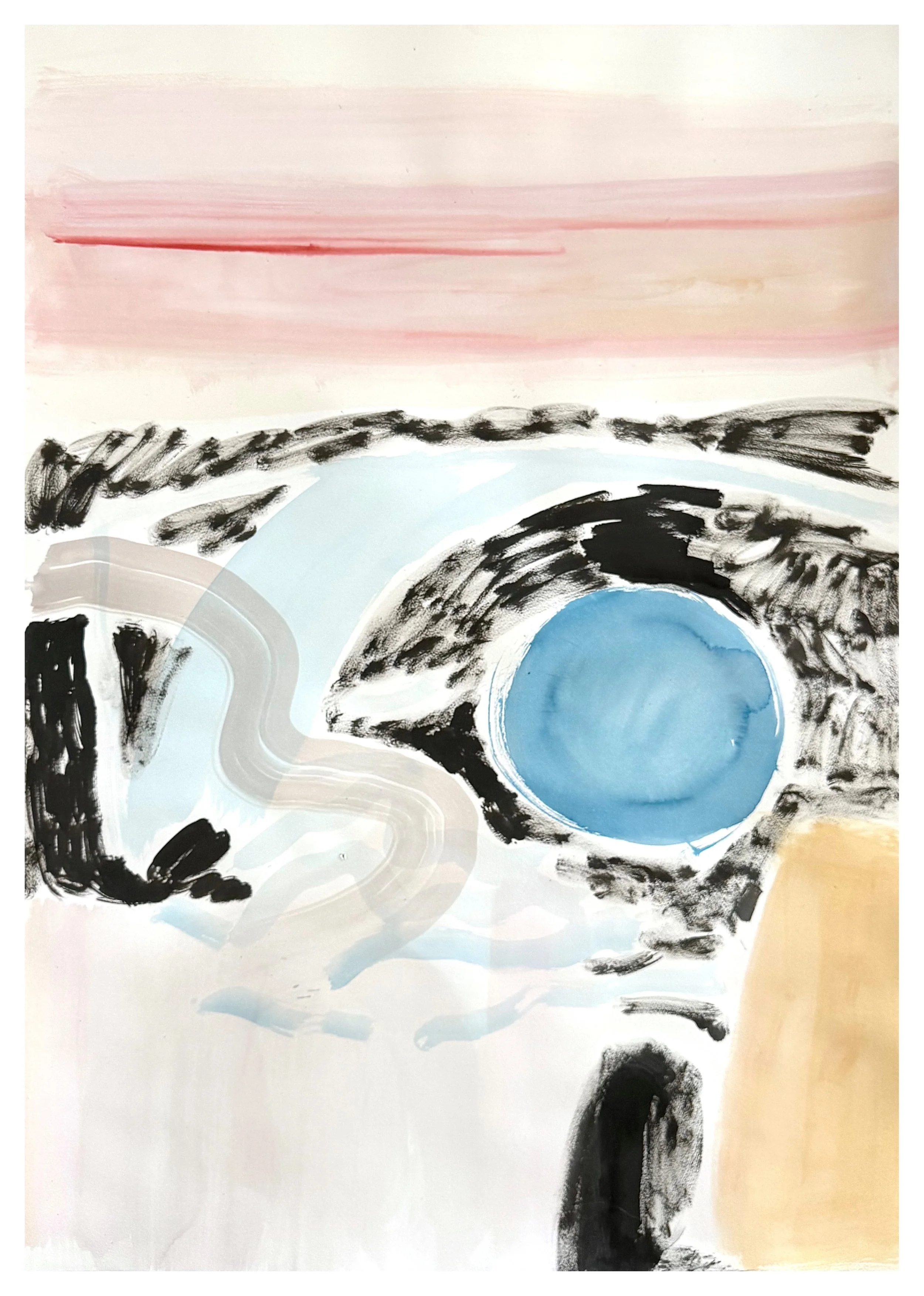 SALLY KING BENEDICT | Frequency of Seeing