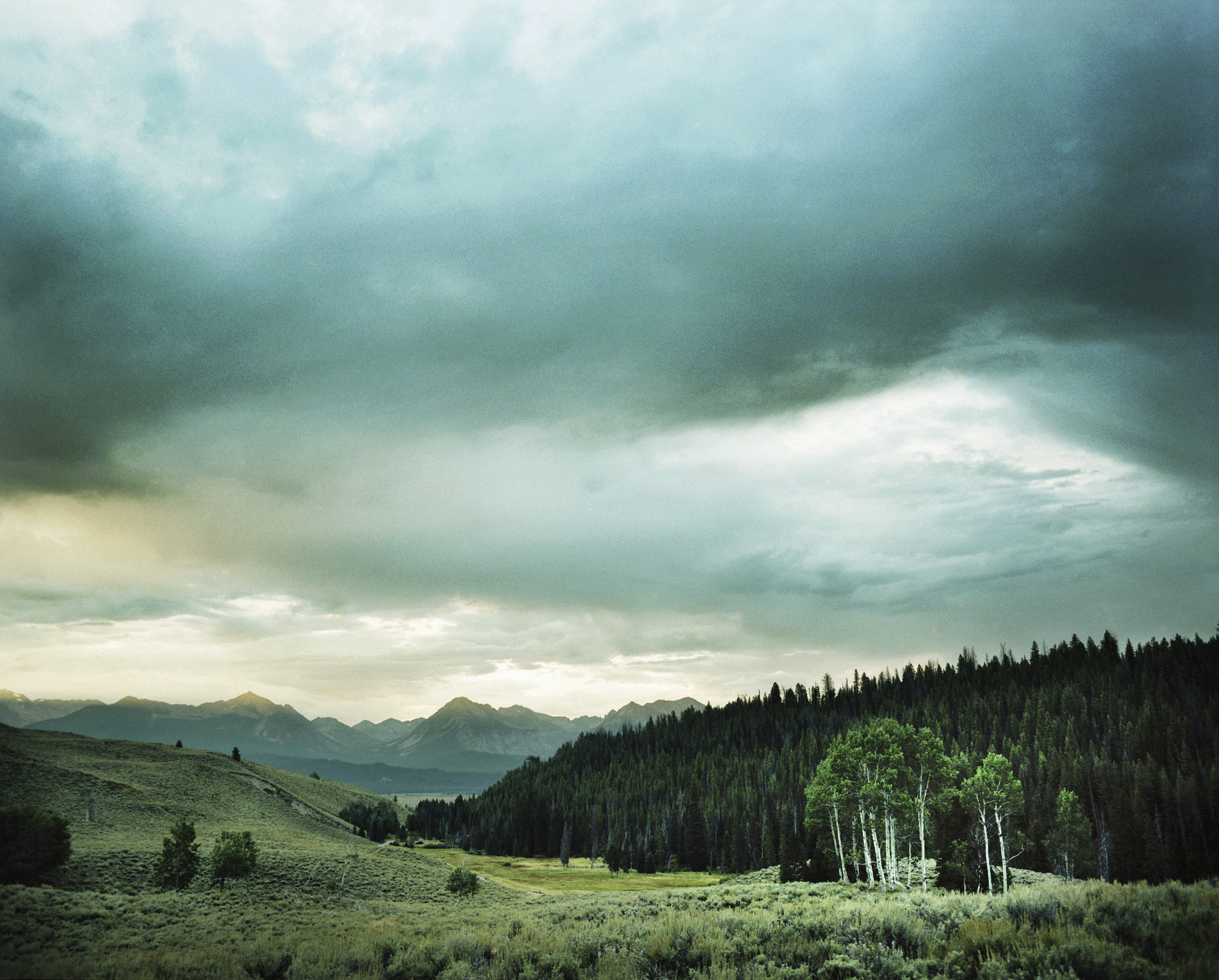 RELATIVE MOTION | Ansley West Rivers 