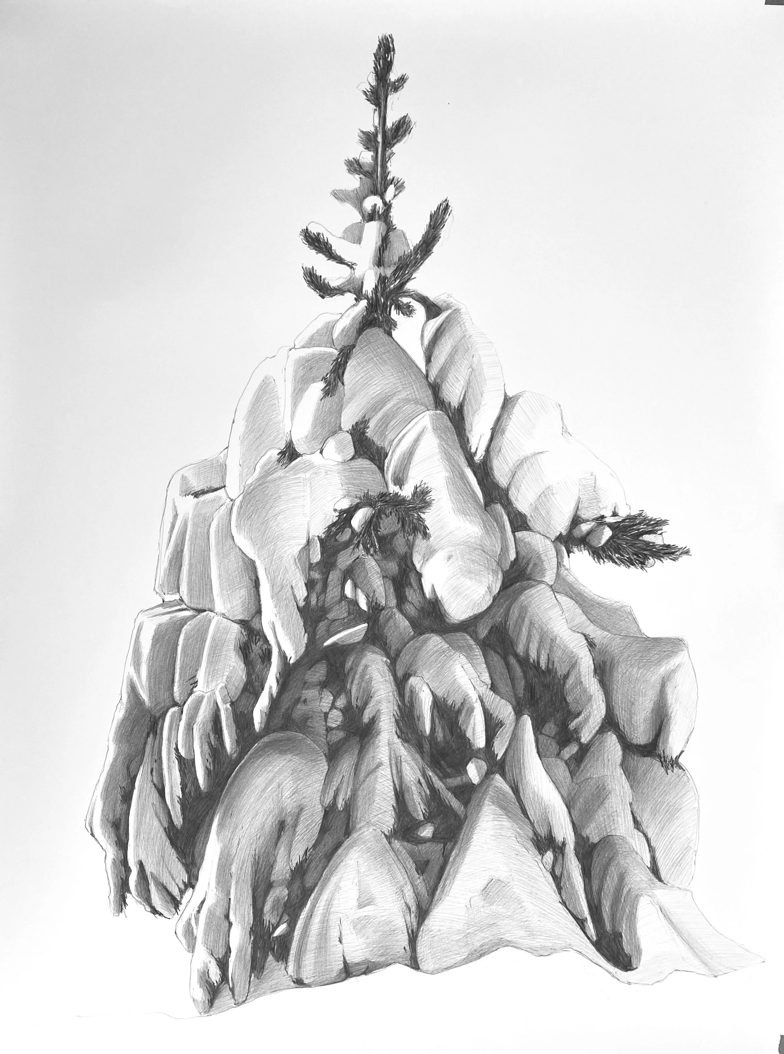 ASHFORTH- Big Pine 40x30.jpeg