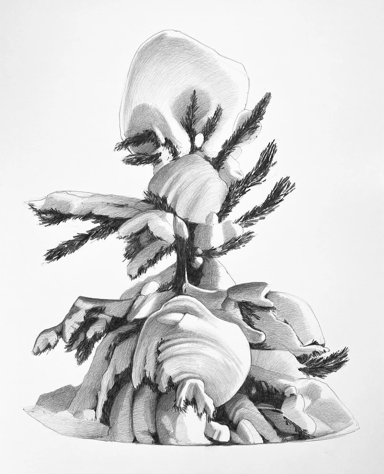 ASHFORTH- White Pine 1_ 34x28.jpg