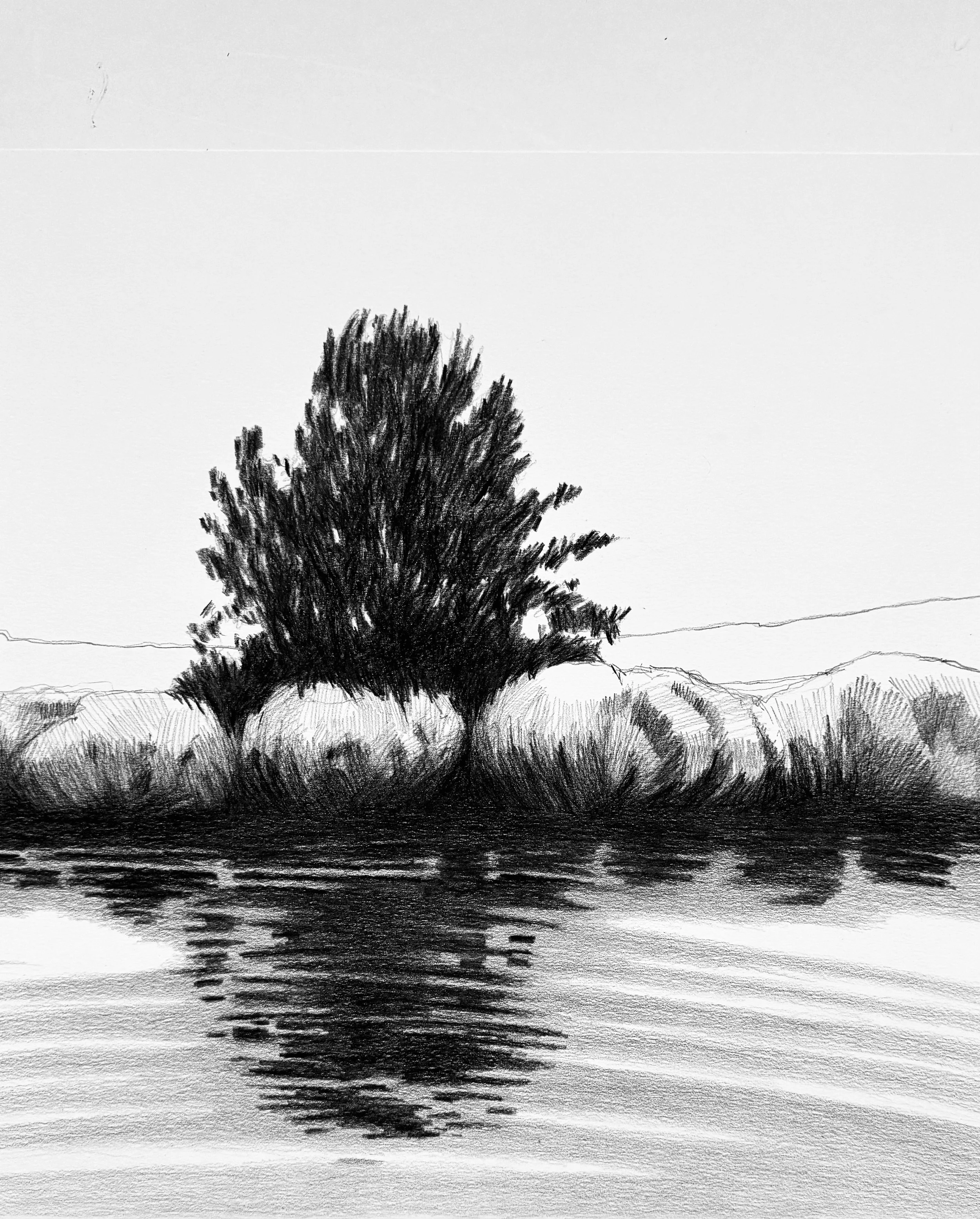 RELATIVE MOTION | Frances Ashforth