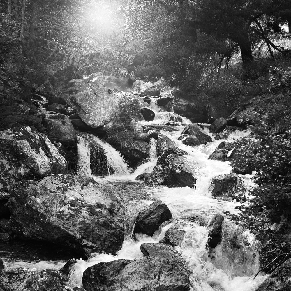 The Rock and The Water: Identifying Your Role in the Flow of Life