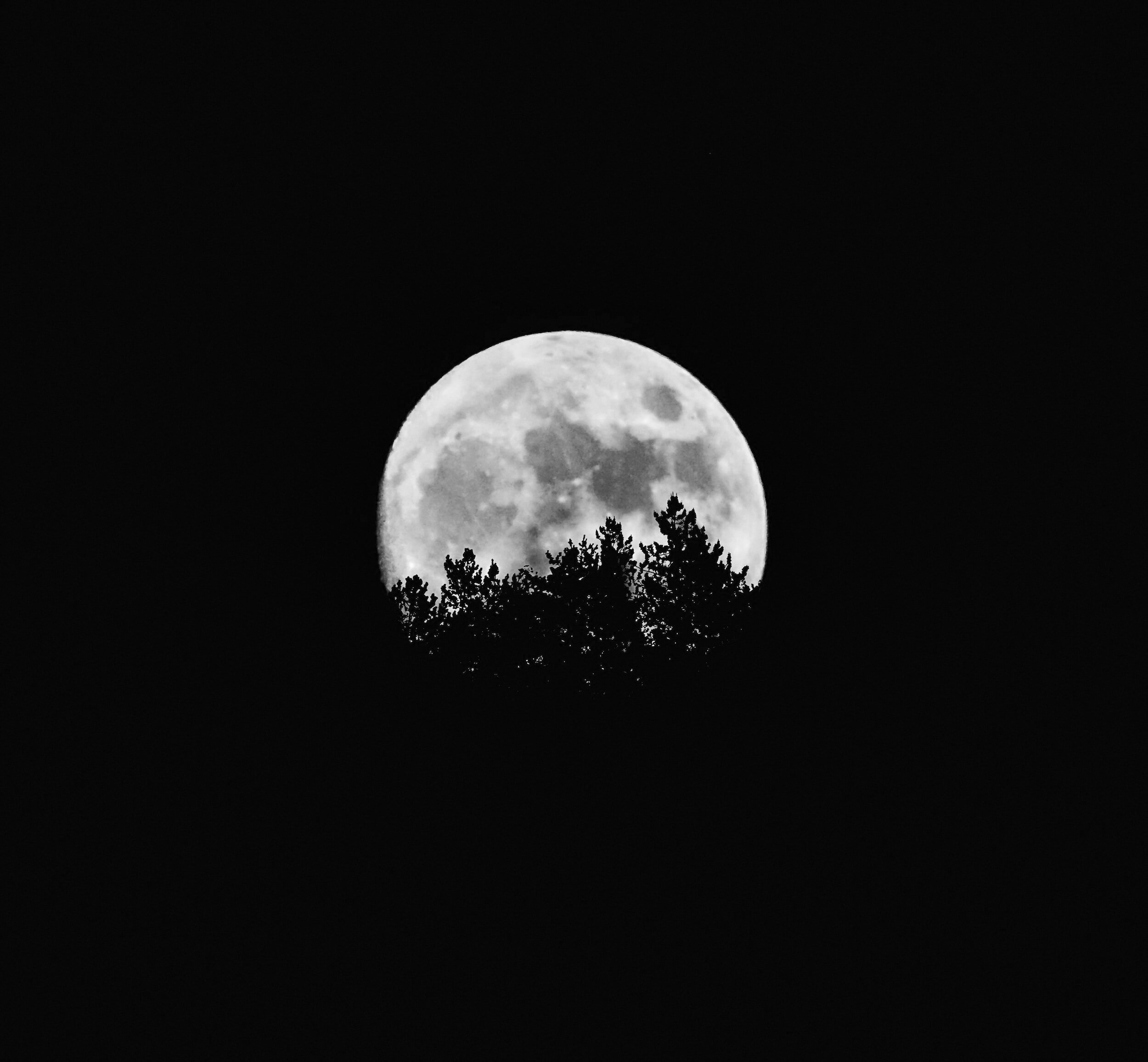 Falling into Equilibrium: A Fresh Perspective on the Autumn Equinox