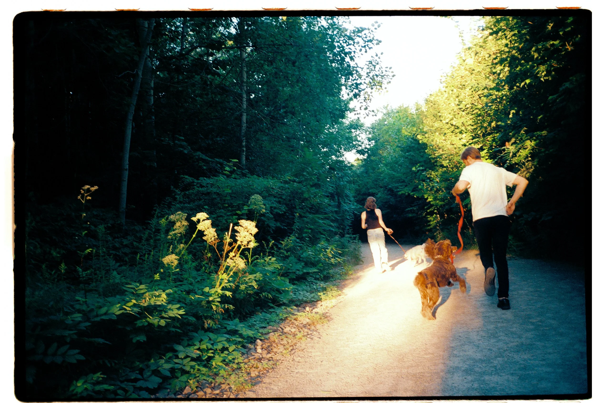 petitesimages-20250729-Chloe+Mitch-90.jpg