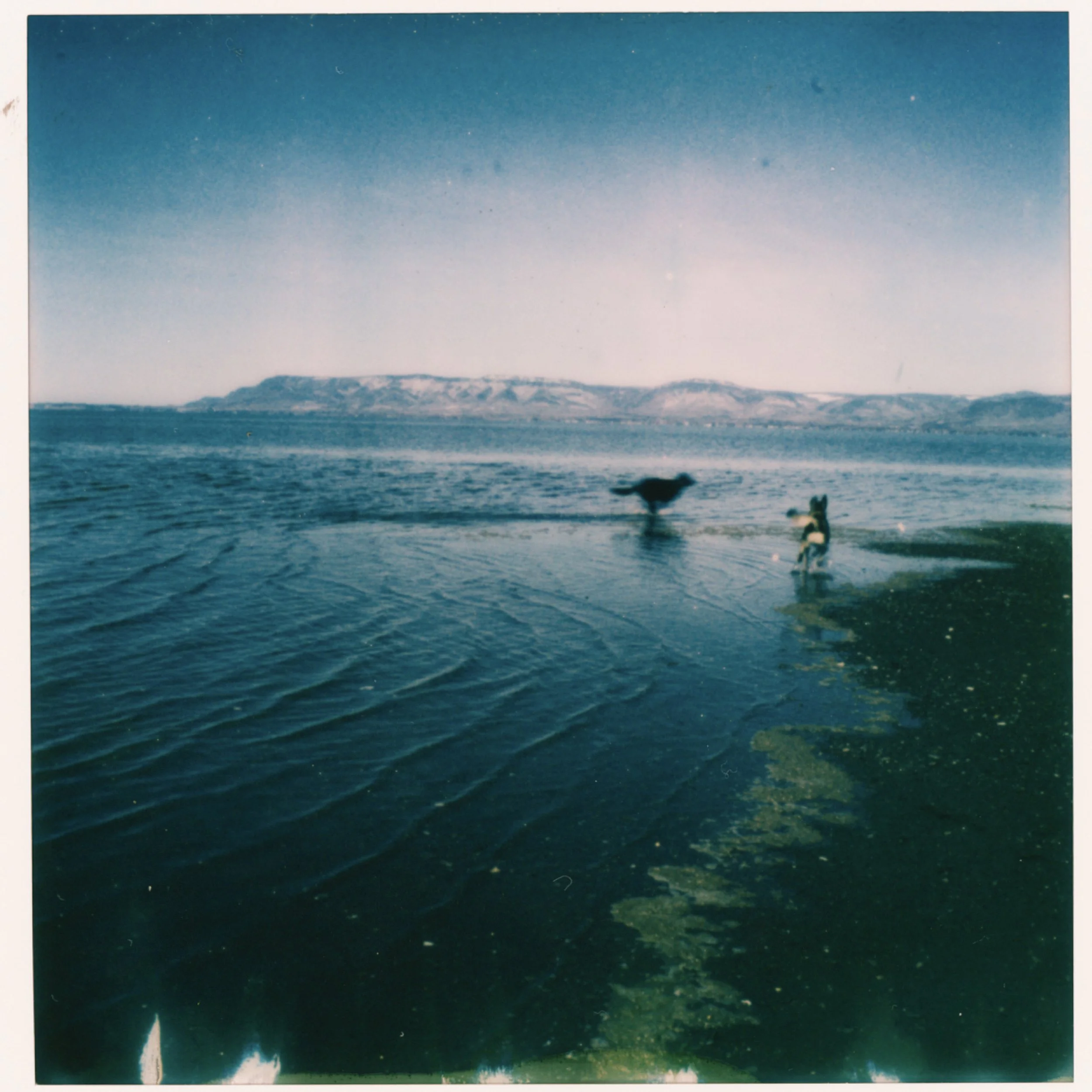 SCRL_0359.JPG