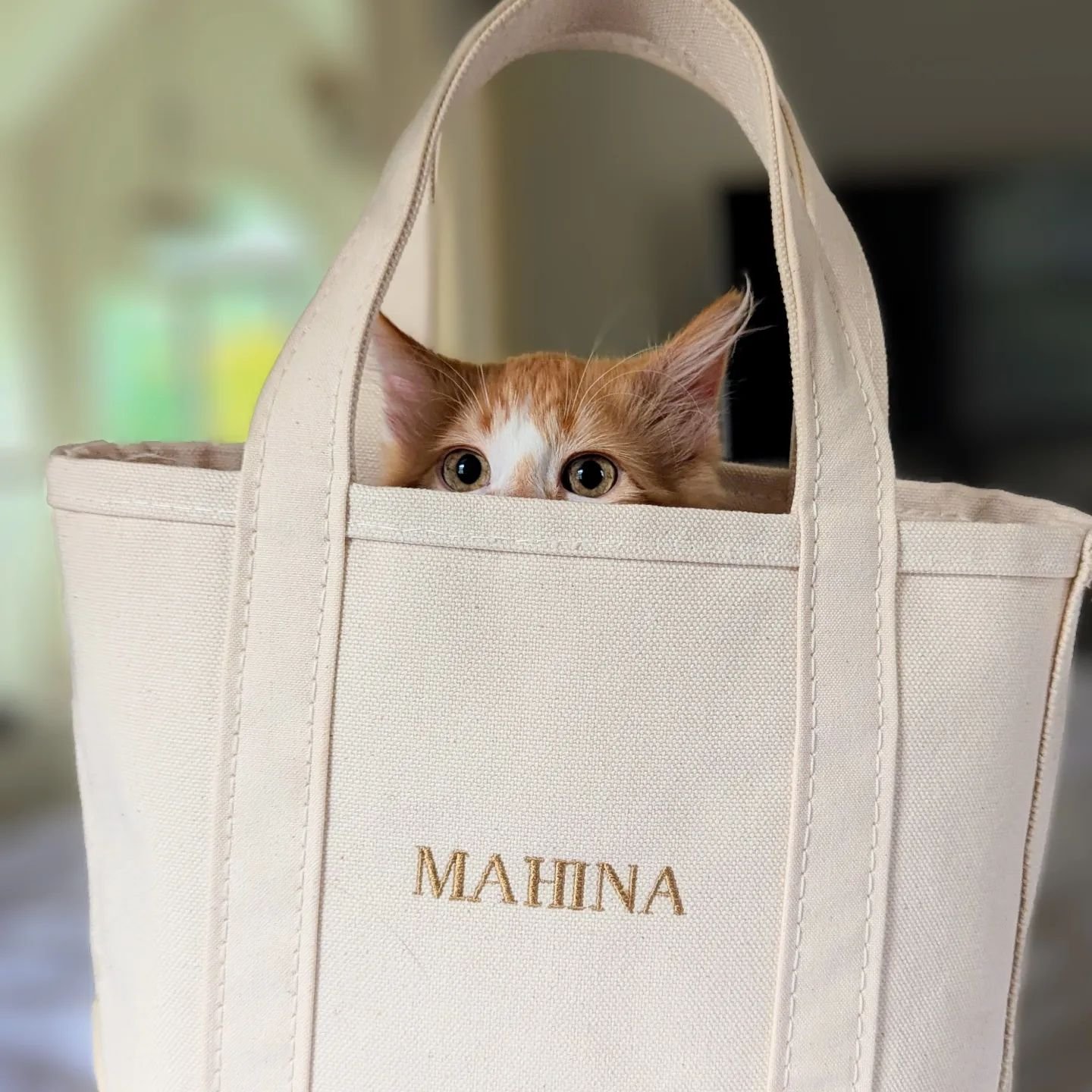 Happy International Cat Day from two very proud cat ladies 🐾🐾

#MahinaBirthSupport #Doulas #KCDoulaTeam #CatLadies #catladiesunite #InternationalCatDay #kansasCity #KCMO