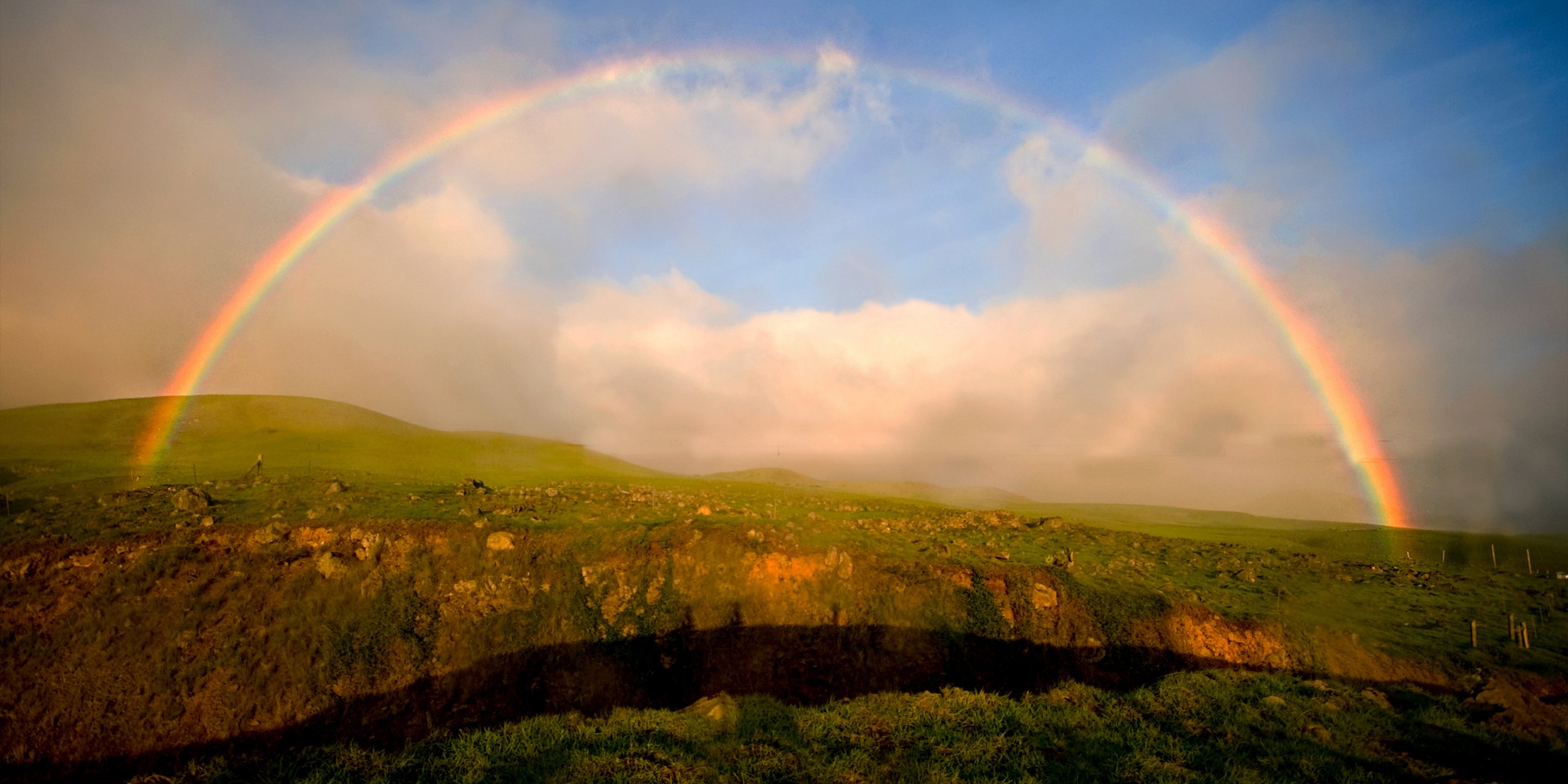 Best local doula in Kansas City!
