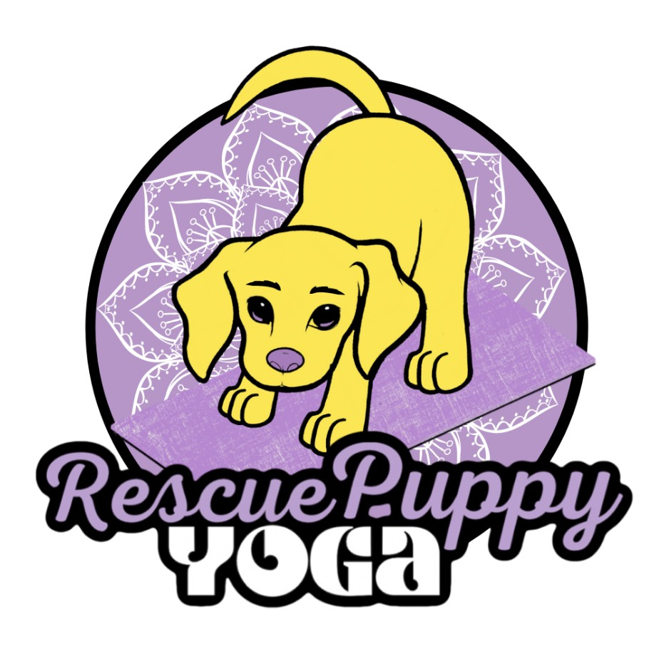 Rescue Puppy Yoga