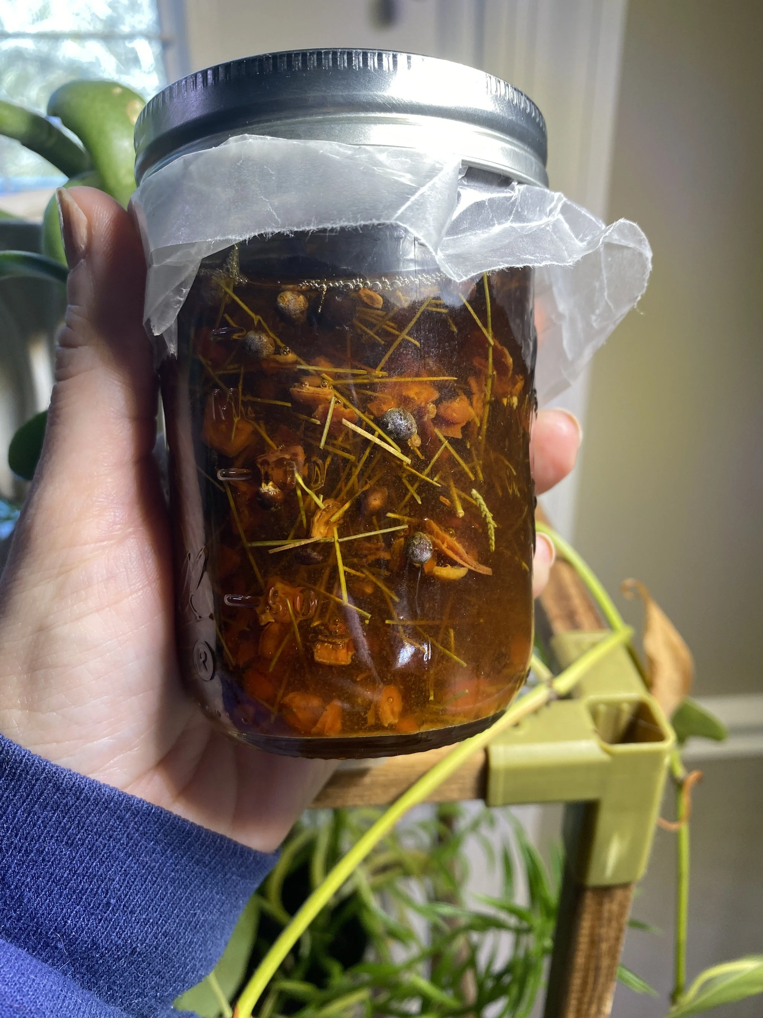 Home Herbalism 101