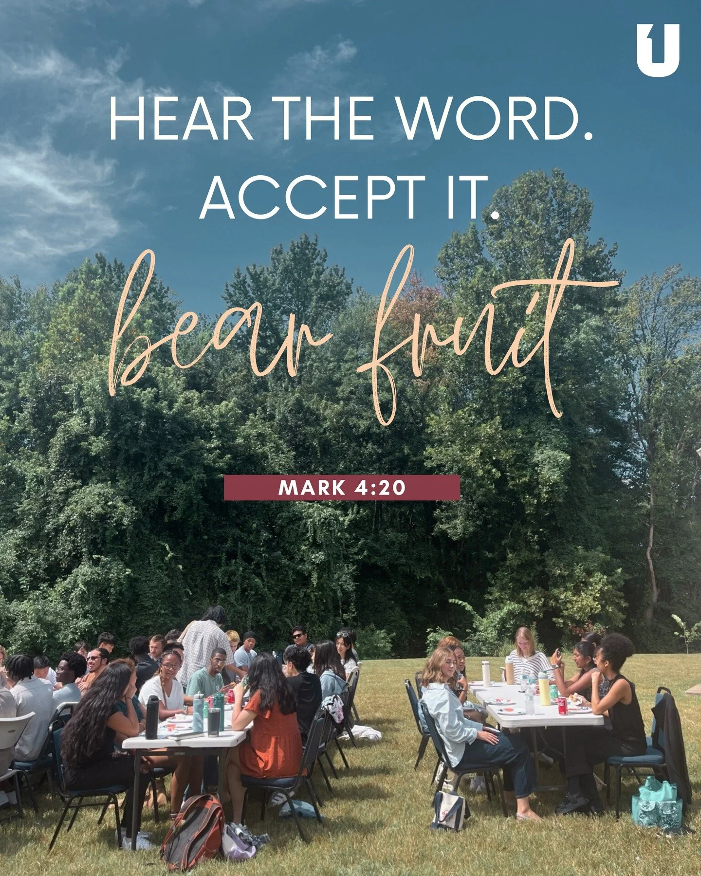 Hear the Word. Accept it. Bear Fruit.

Others, like seed sown on good soil, hear the word, accept it, and produce a crop&mdash;some thirty, some sixty, some a hundred times what was sown. 

Mark 4:20

We studied the parable of the sower this Thursday