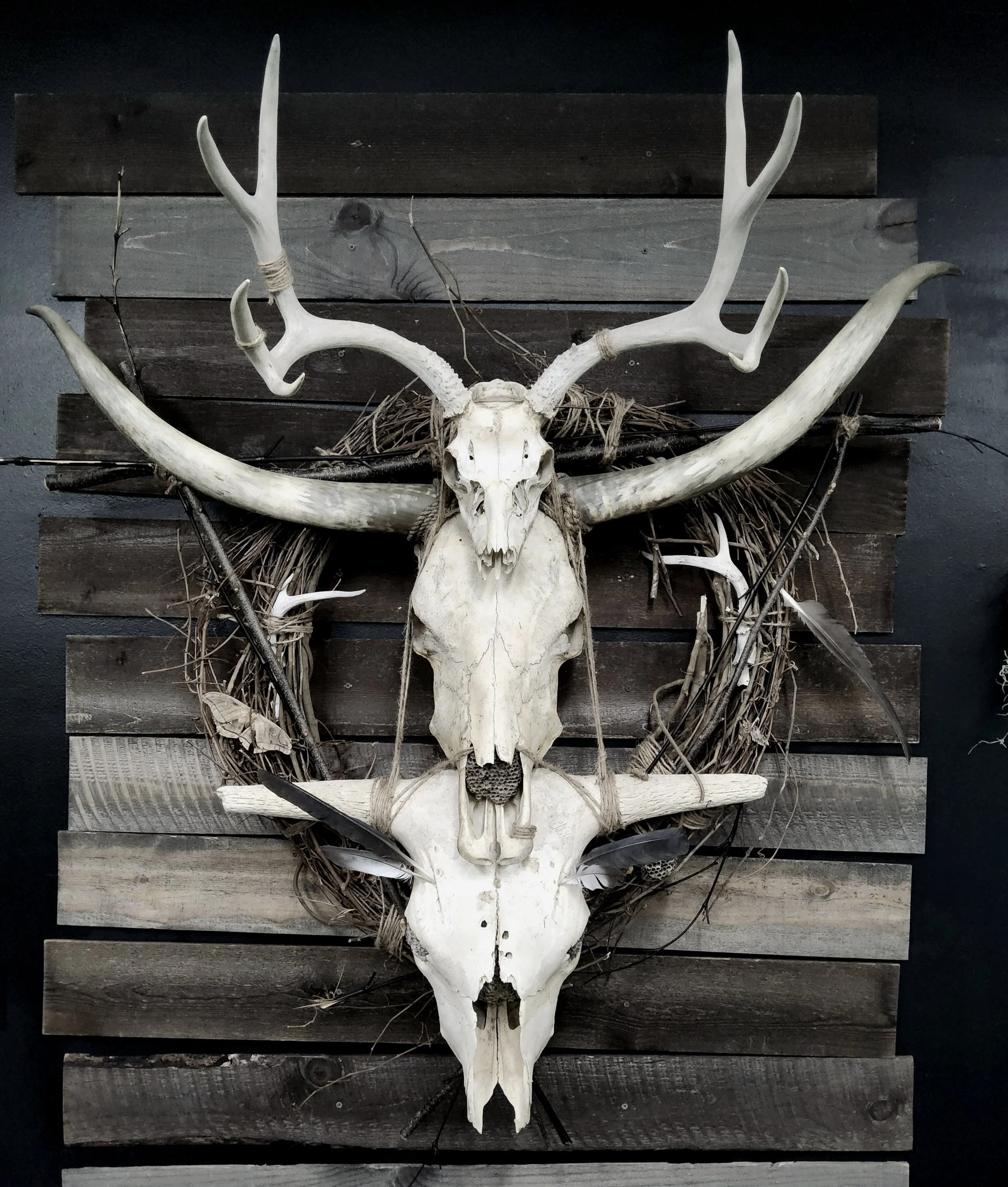 Dark Woods Tattoo Studio