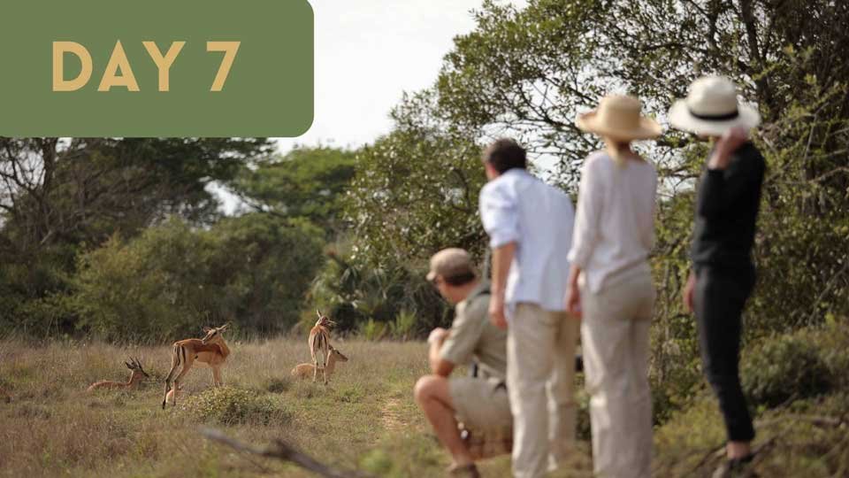 Day-7---Bush-Walking-Adventure.jpg