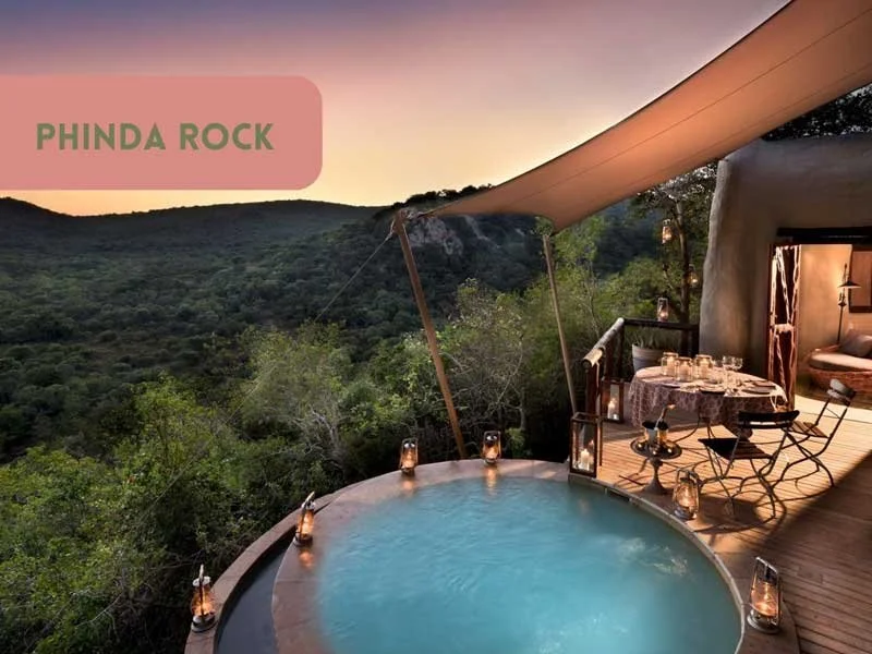 Phinda-Rock---Pool.jpg