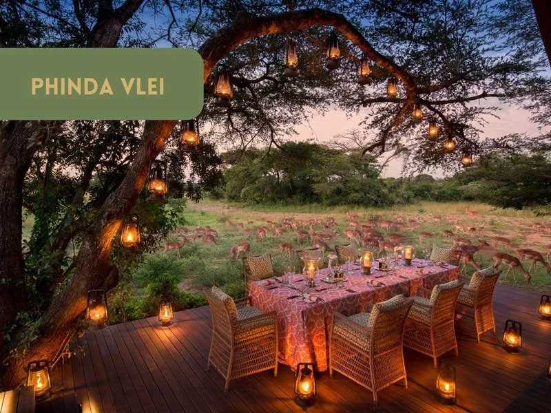 Phinda-Vlei---Dine-Among-the-Deer.jpg