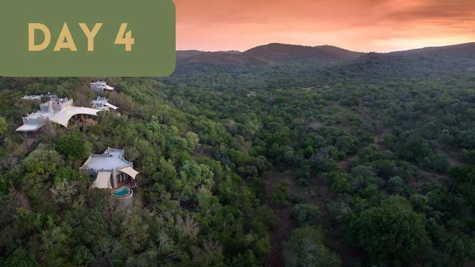 Day-4 Mindfulness in Nature.jpg