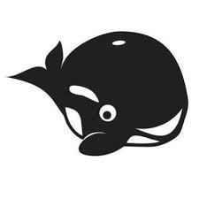 Hey Orca!