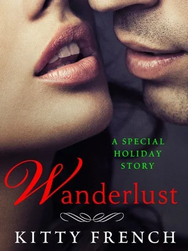 A book cover for the future of agency LLC's previous campaign for Wanderlust: A Special Holiday Story, by Kitty French