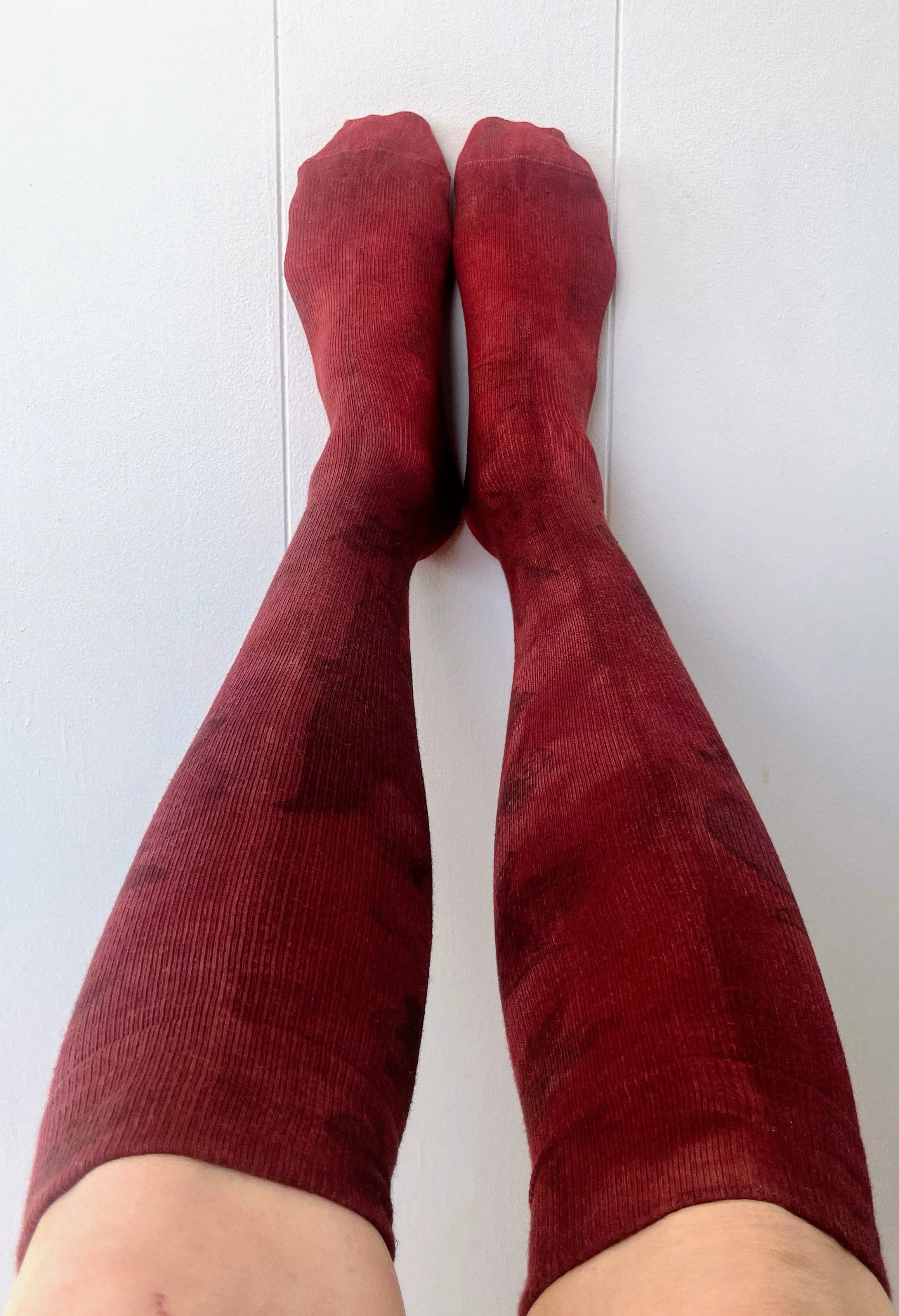 IMG_1054 Copy Copy Copy.JPG