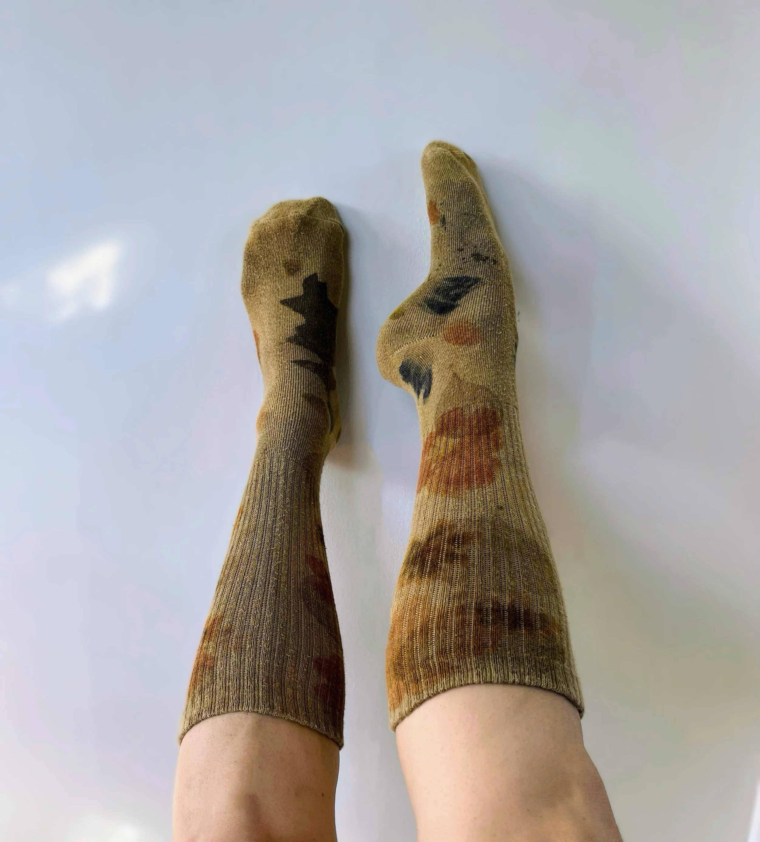 IMG_0245 Copy Copy Copy Copy Copy Copy.jpeg