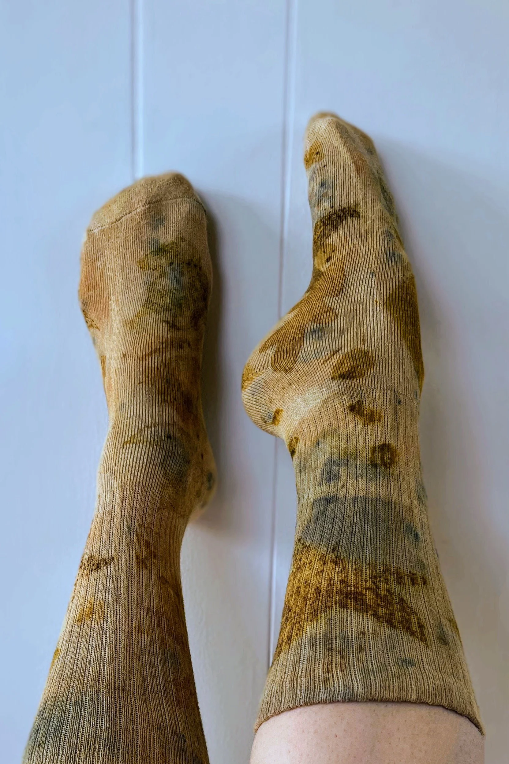 IMG_0232 Copy Copy Copy Copy.jpeg