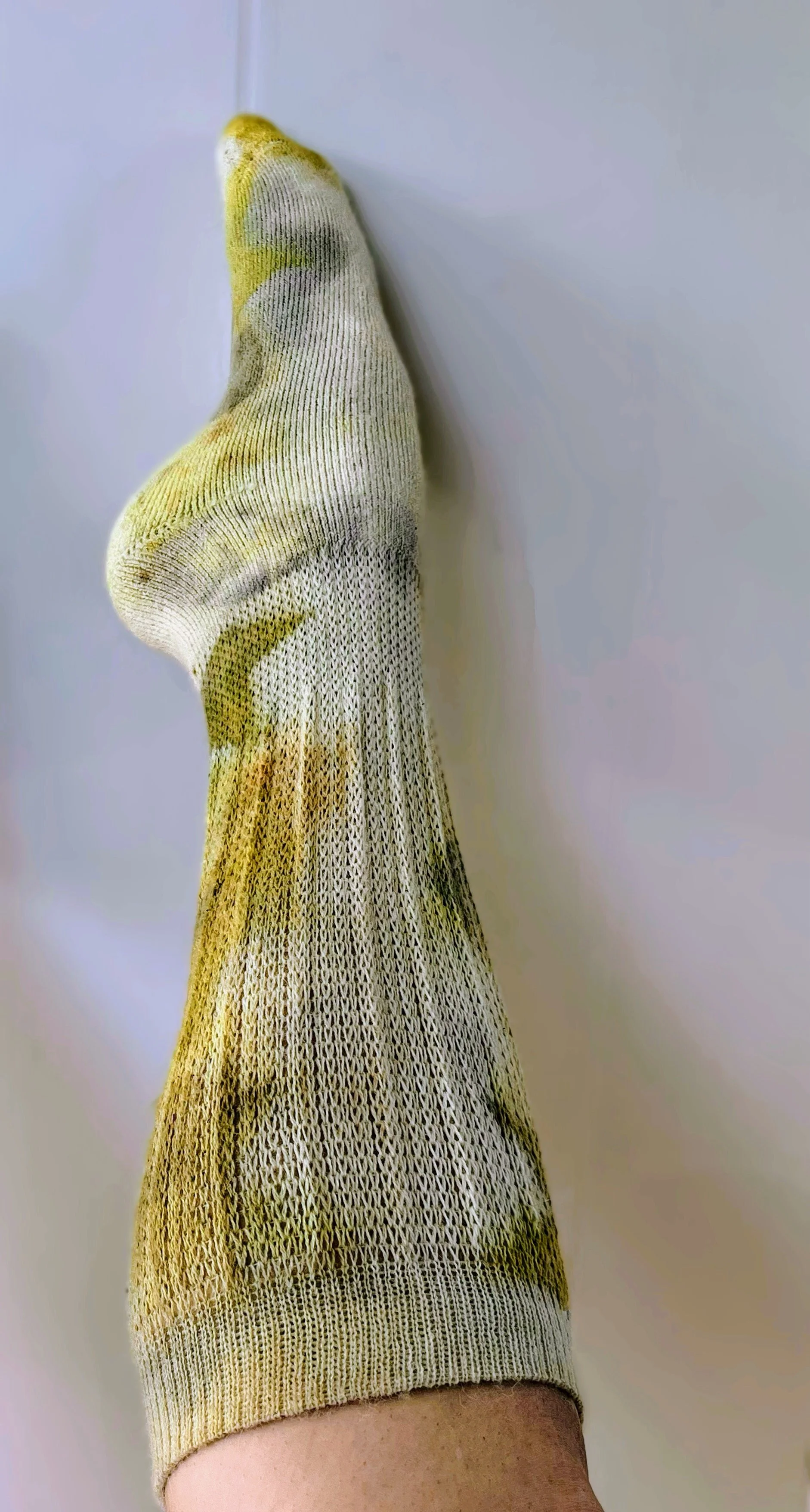 IMG_0203 Copy Copy Copy Copy Copy Copy.jpeg