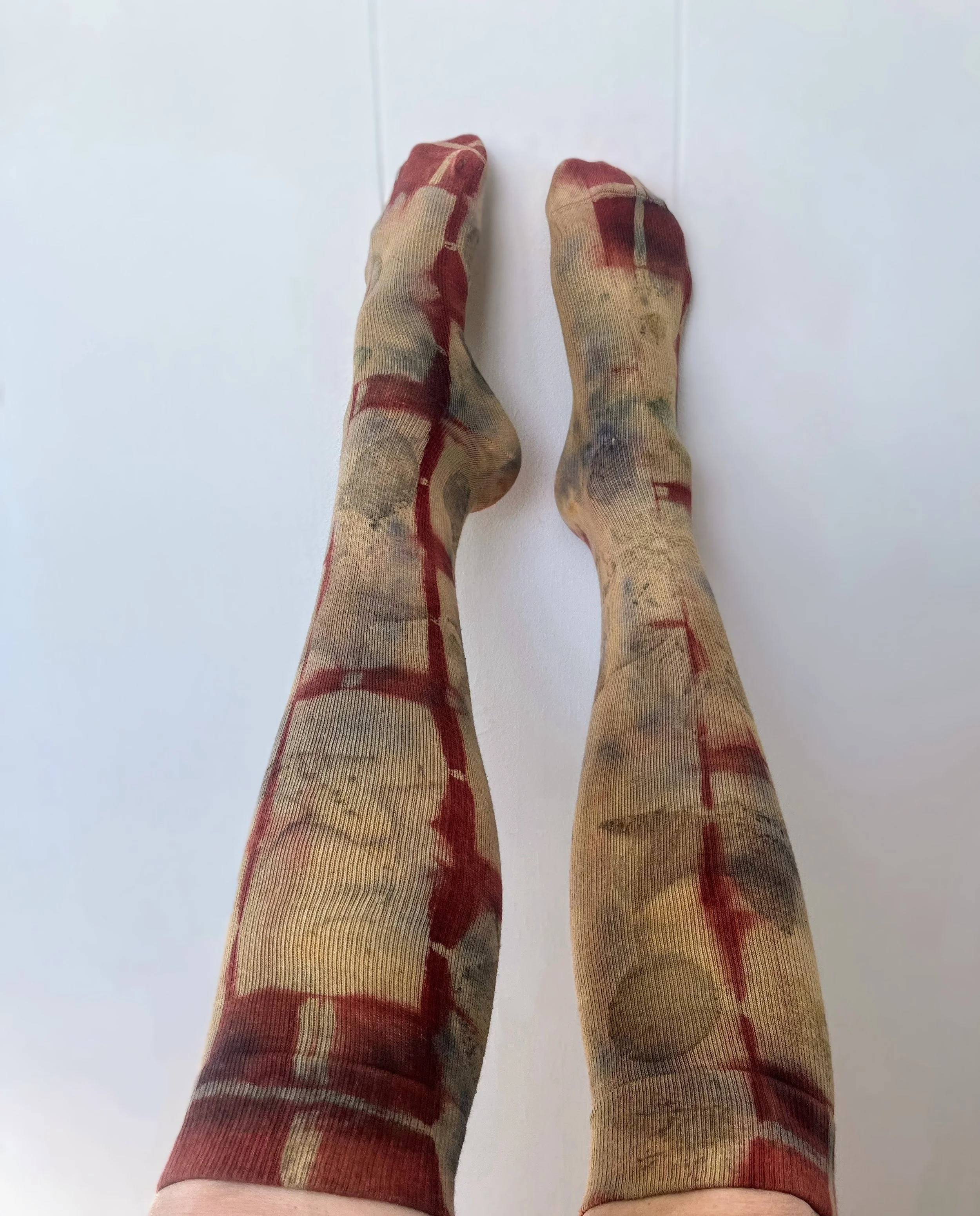 IMG_1069 Copy Copy Copy Copy.JPG