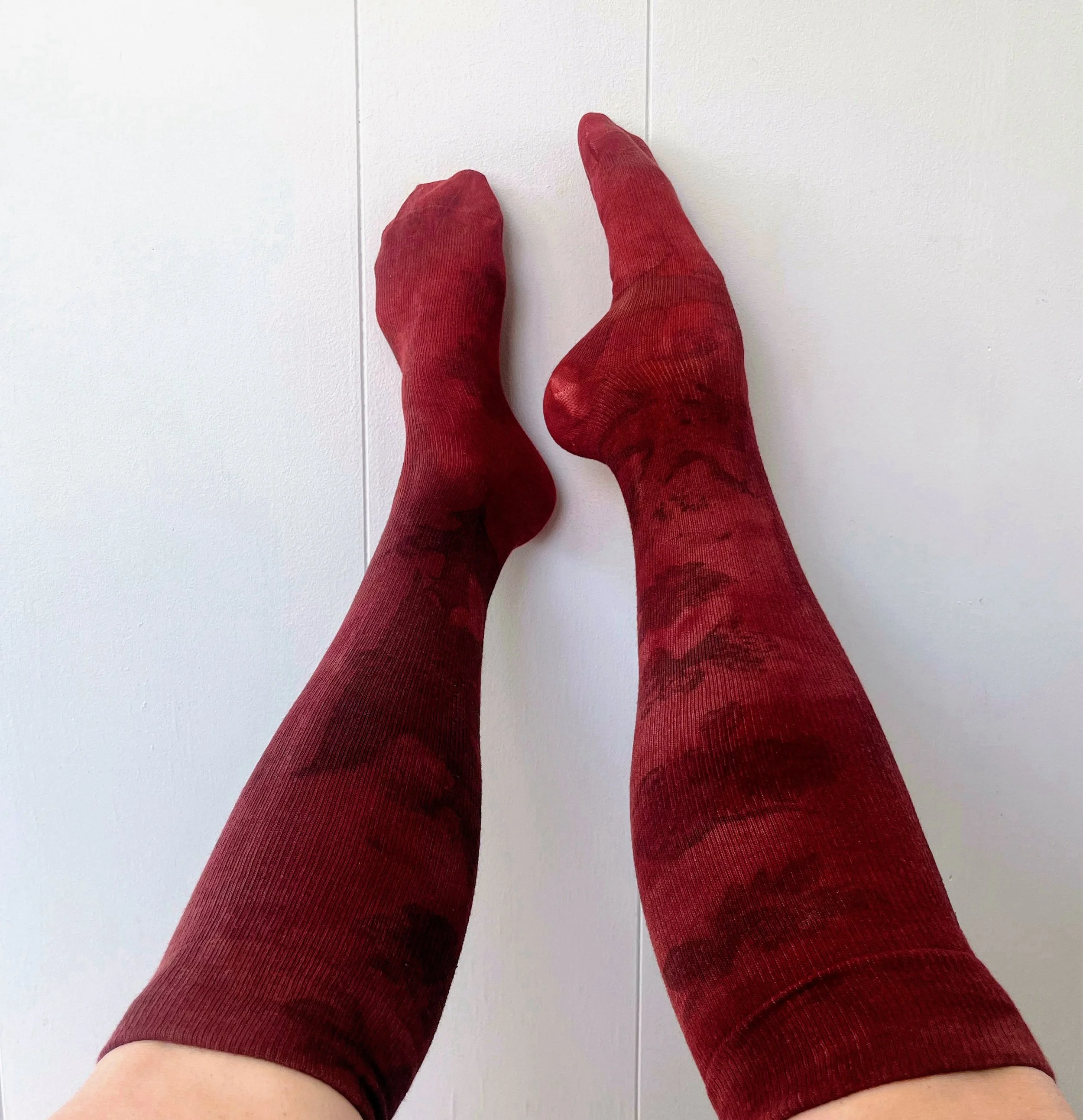 IMG_1058 Copy Copy Copy Copy Copy.JPG