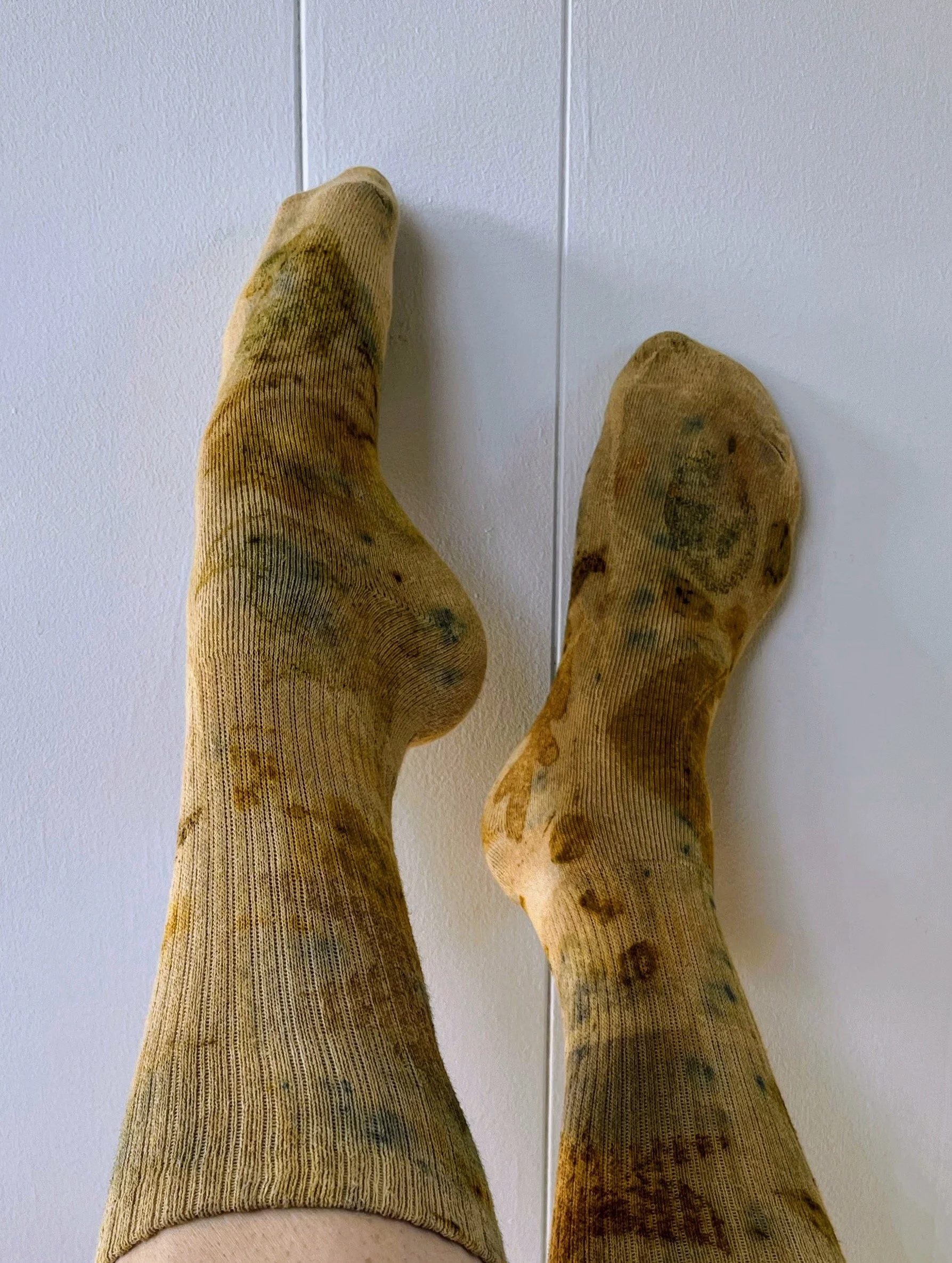 IMG_0233 Copy Copy Copy.jpeg