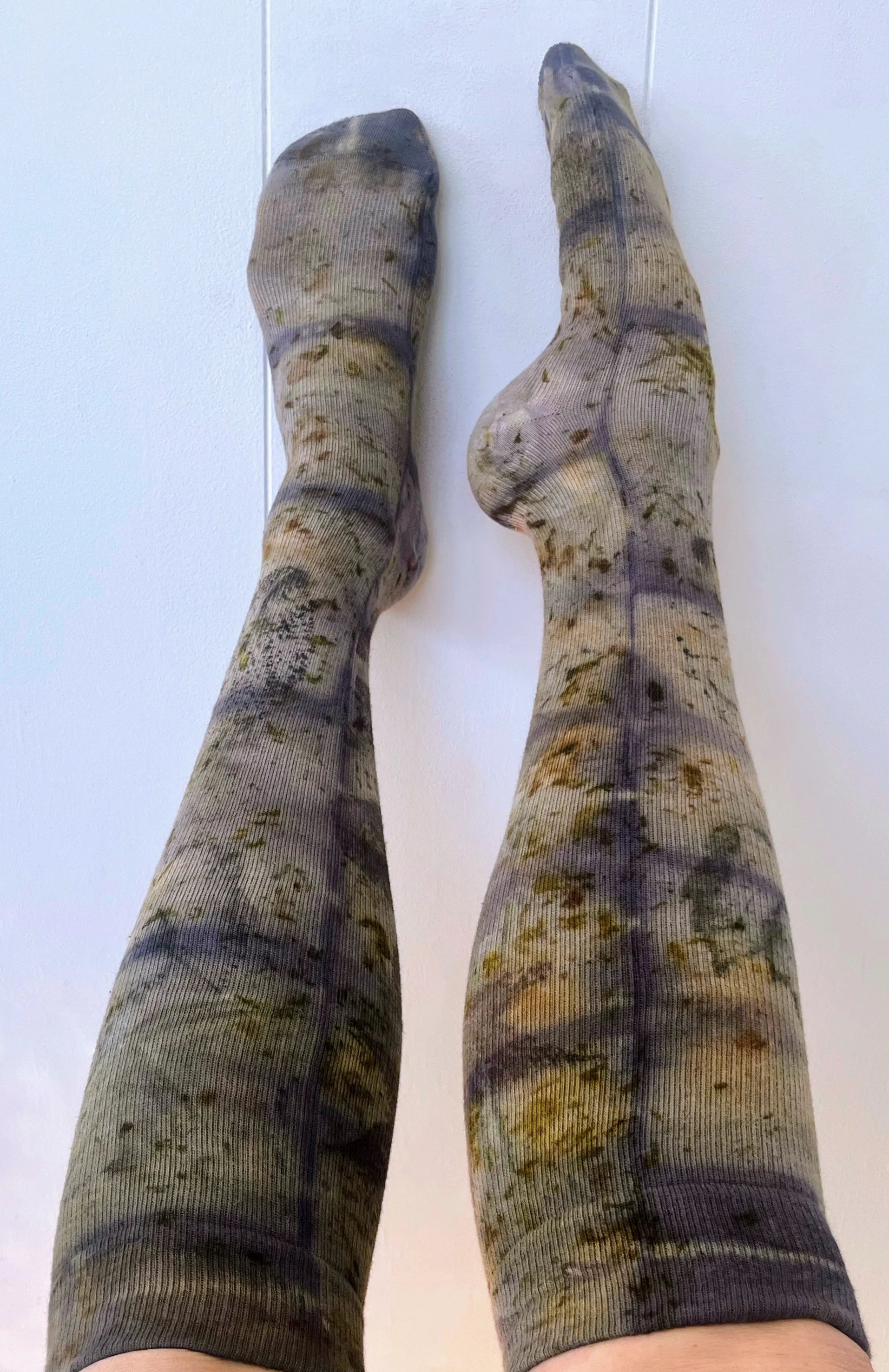 IMG_1093 Copy Copy Copy Copy Copy.jpeg