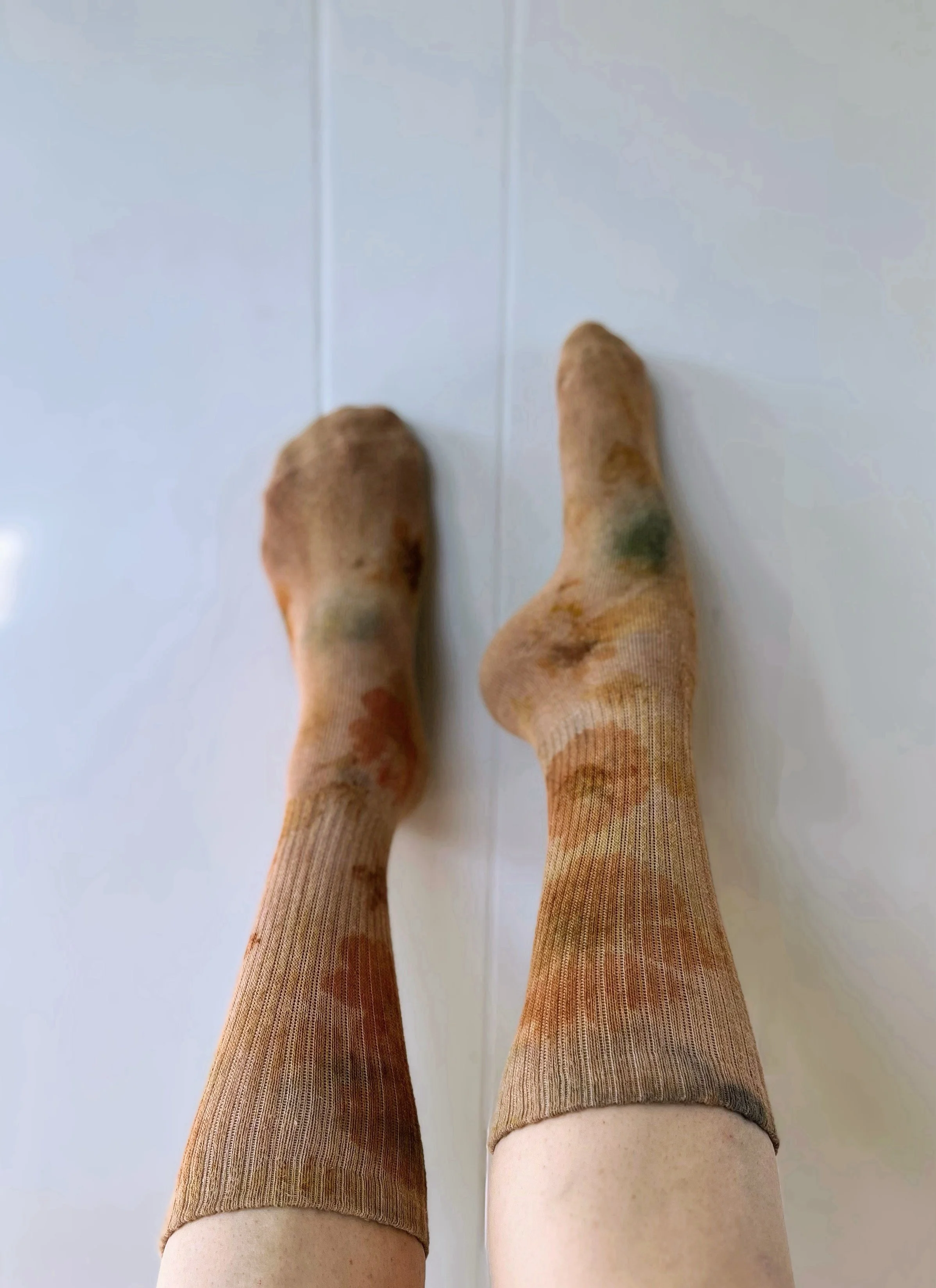 IMG_0223 Copy Copy Copy Copy Copy.jpeg