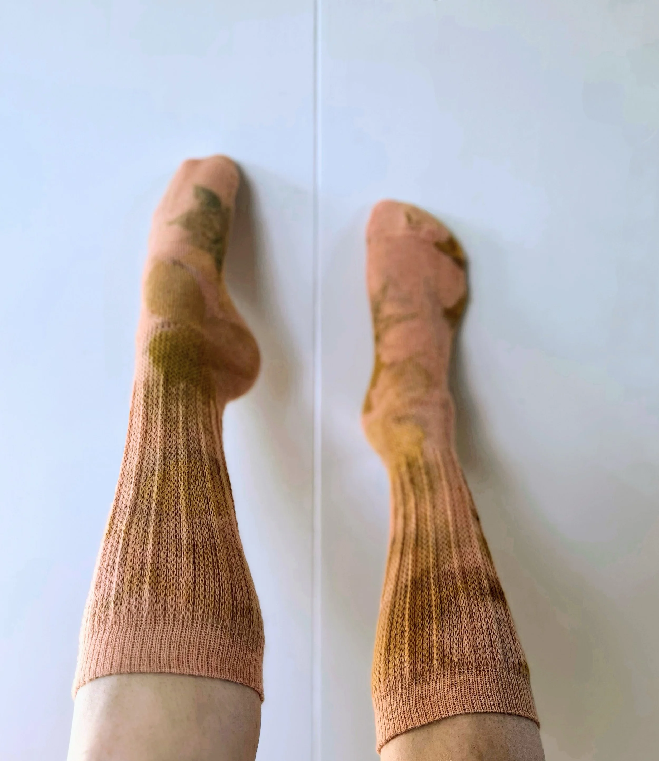 IMG_0187 Copy Copy Copy Copy Copy.jpeg