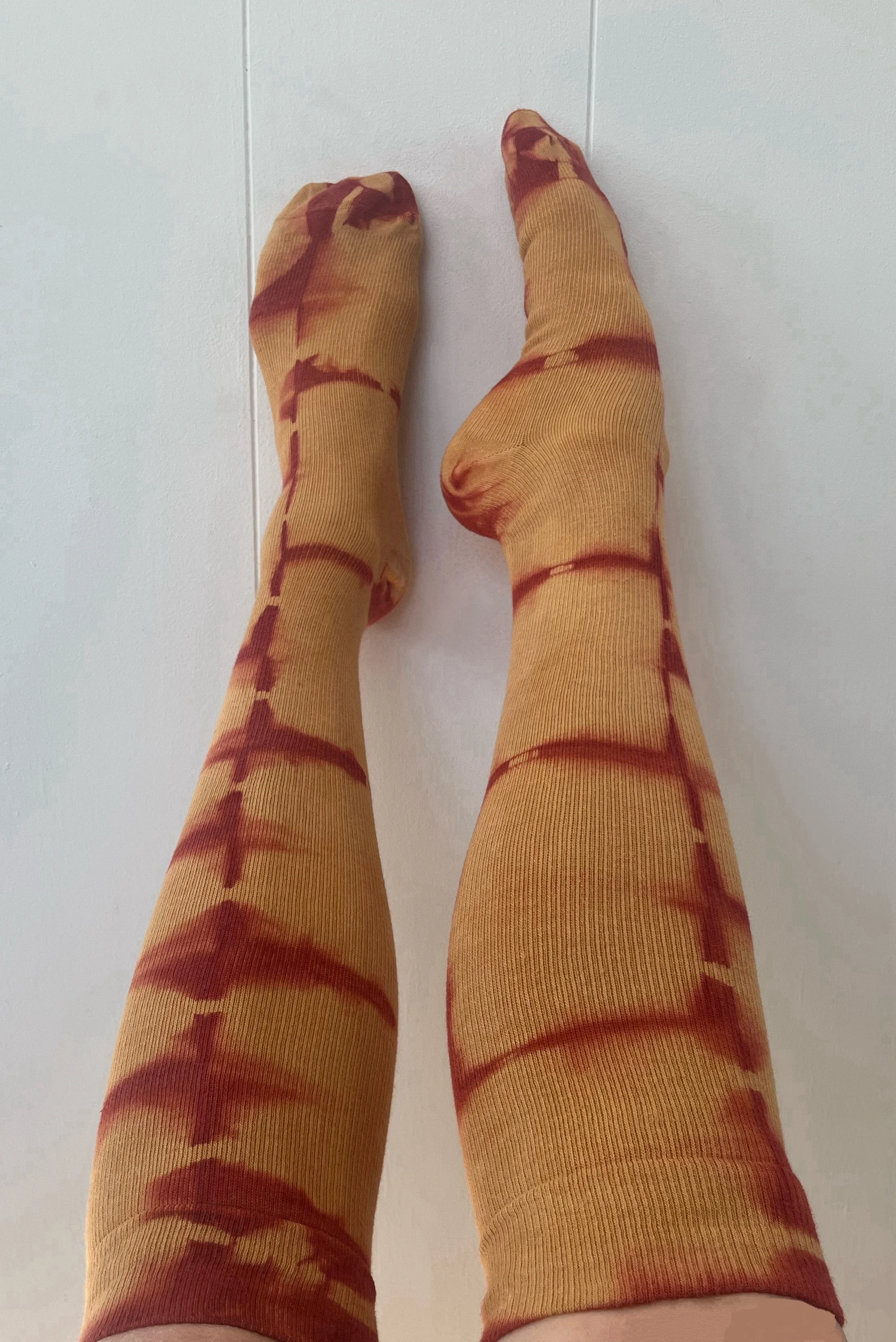 IMG_1085 Copy Copy Copy Copy Copy.JPG