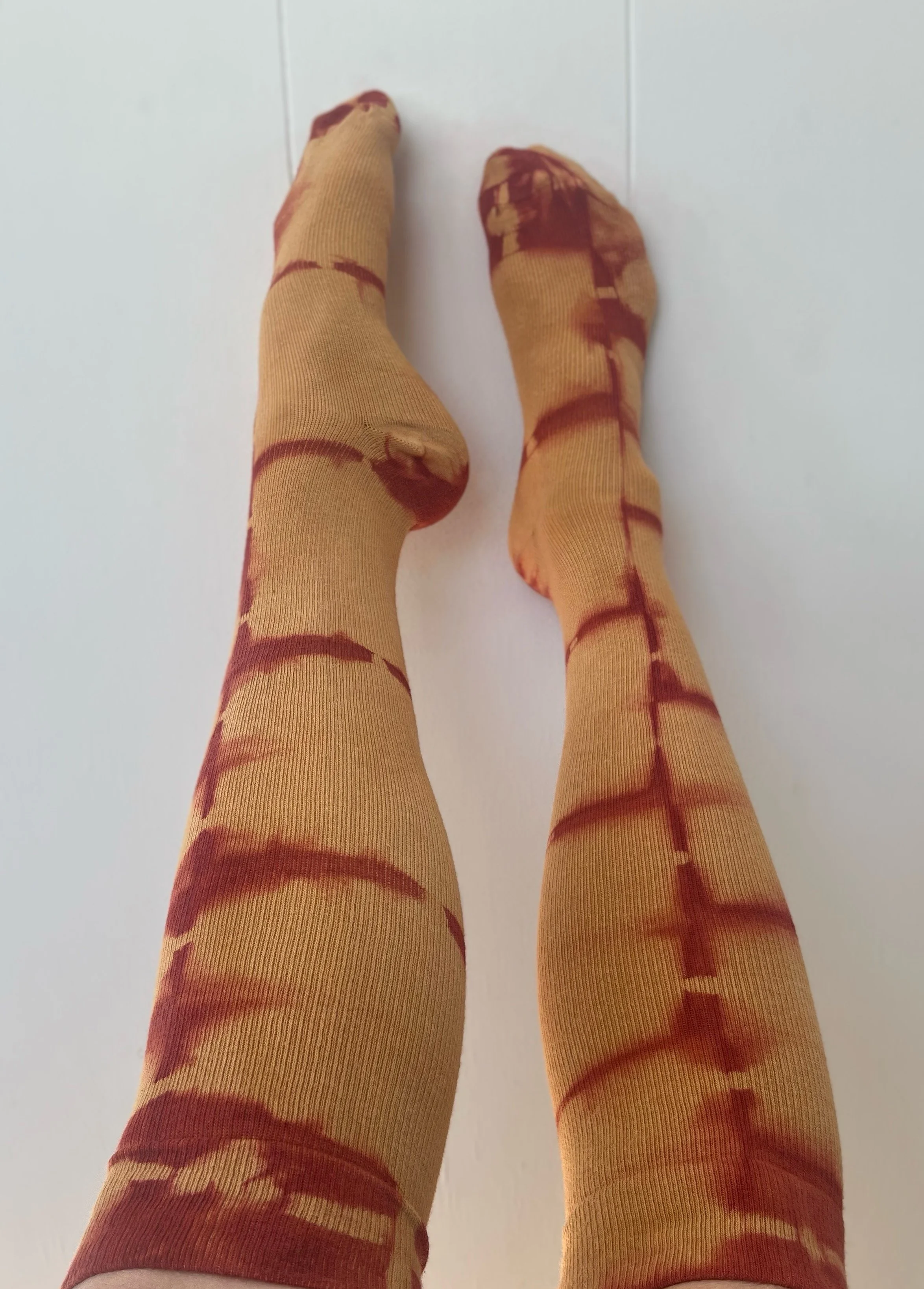 IMG_1086 Copy Copy Copy Copy.JPG