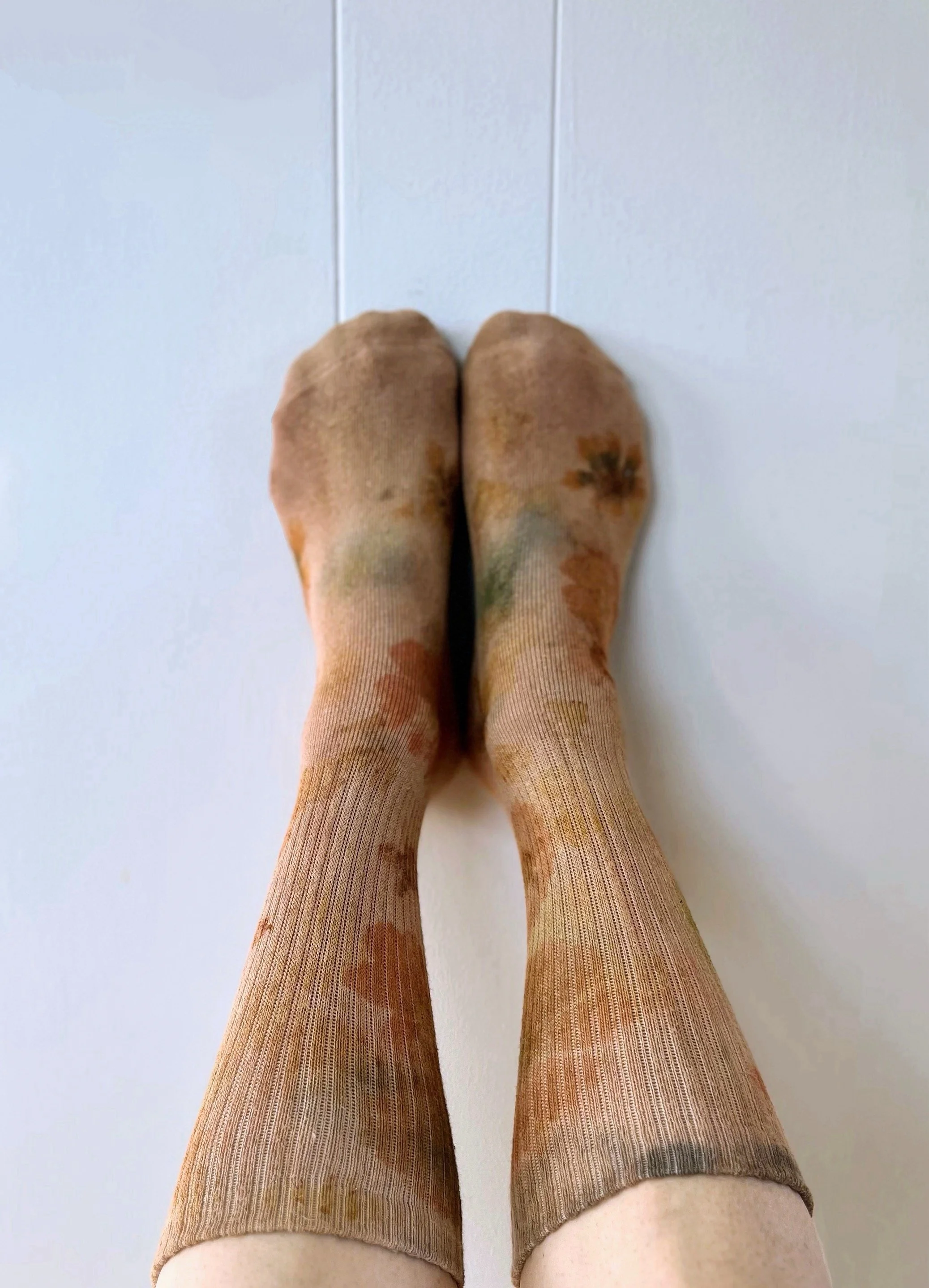 IMG_0222 Copy Copy Copy Copy Copy.jpeg