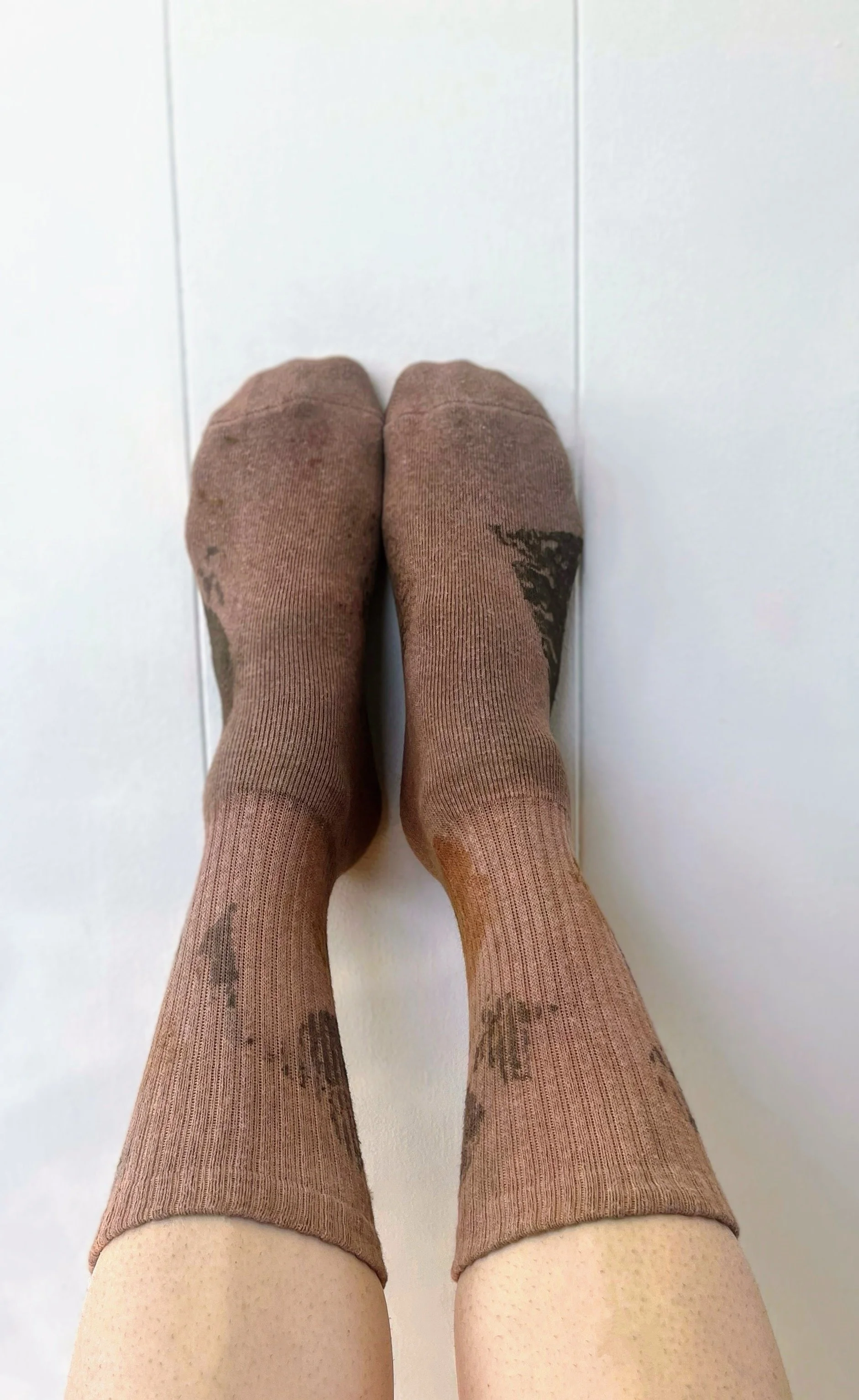 IMG_1101 Copy Copy Copy Copy Copy.jpeg