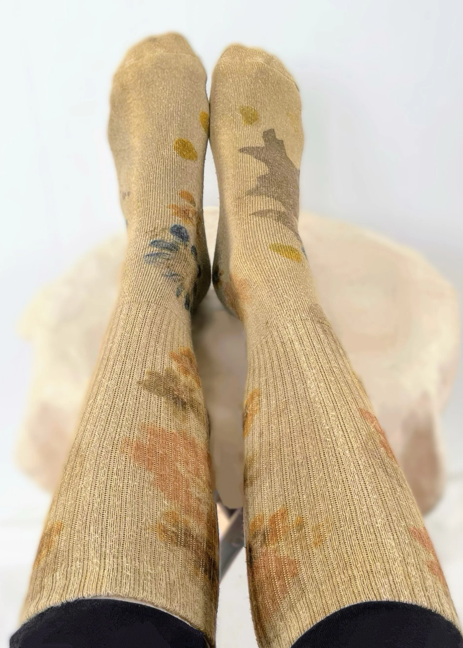 IMG_9507 Copy Copy Copy Copy Copy Copy Copy Copy Copy.jpeg