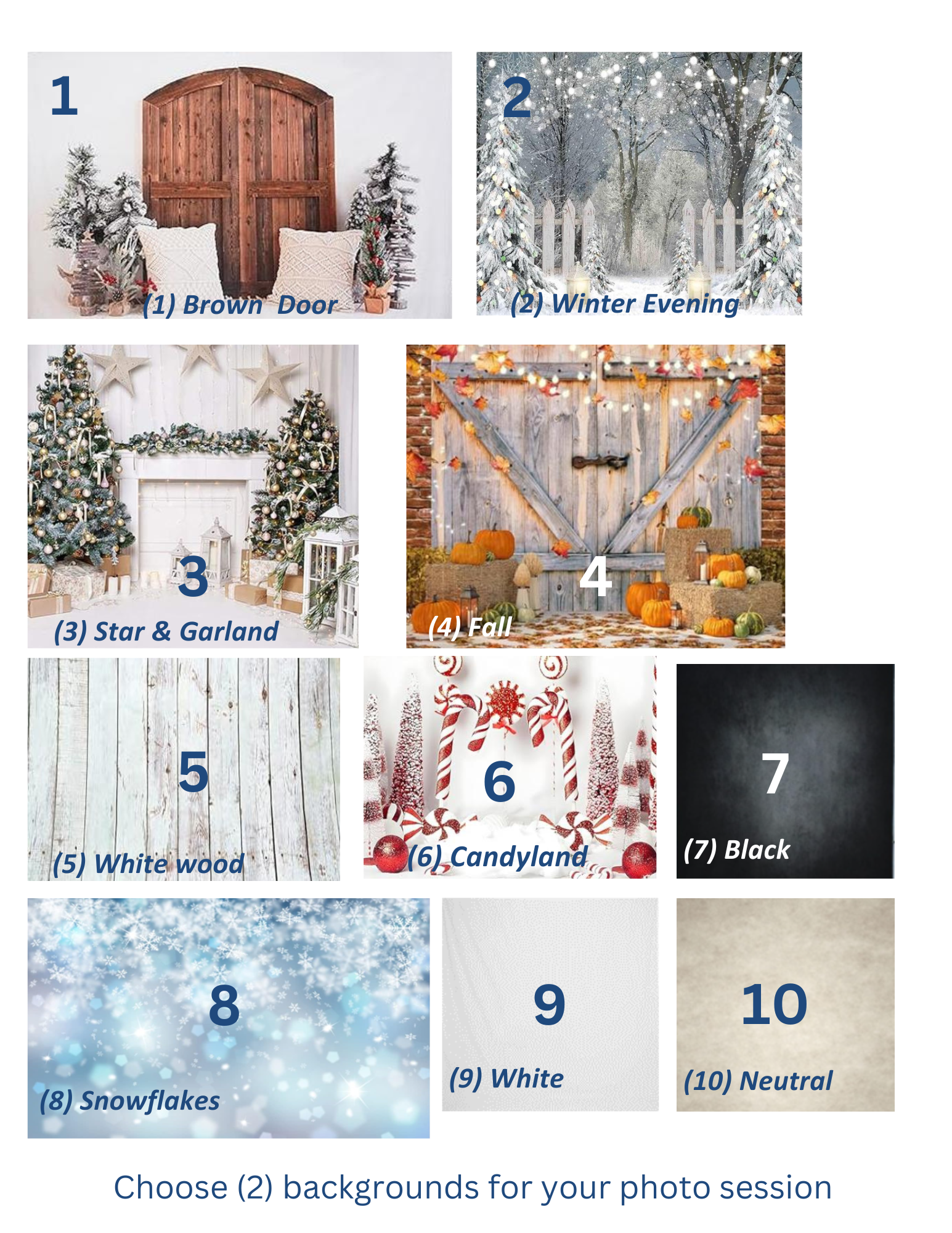 10 Holiday Backgrounds.pdf (1).png