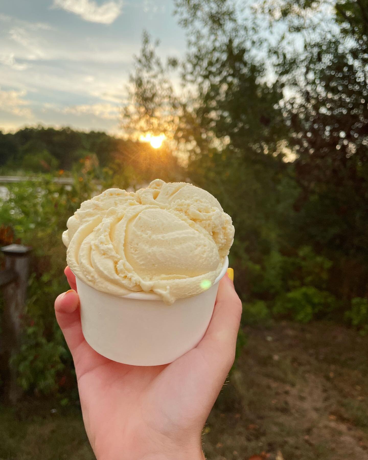 🍑🍑🍑

#downrivericecream #downriver #icecream  #localbusiness #essex #massachusetts #northshore #peach #peachicecream #icecreamspecial