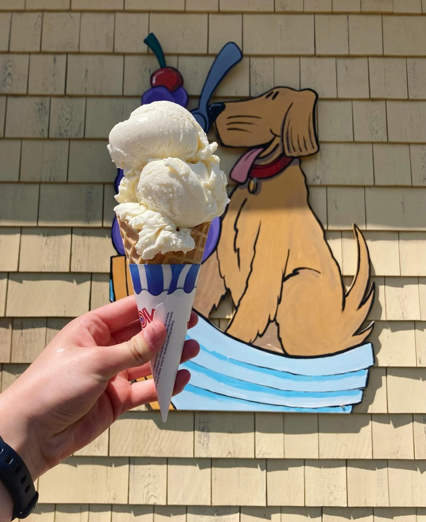 Happy #nationaldogday🐶 Treat your pup to a Rosie's Treat on this special day!

#downrivericecream #downriver #icecream  #localbusiness #essex #massachusetts #northshore #nationaldogday
