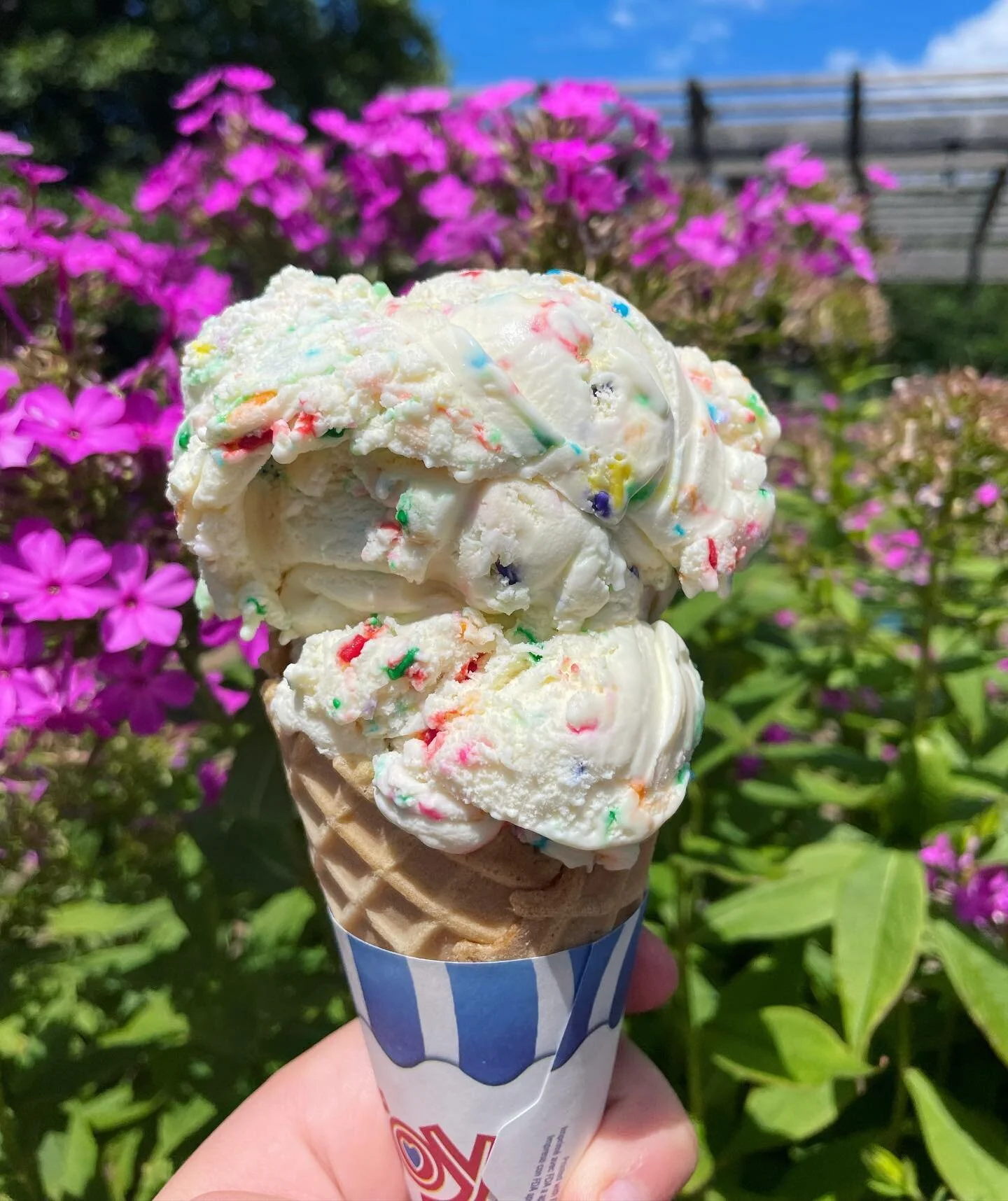 Sunday Funday🍦

#downrivericecream #downriver #icecream  #localbusiness #essex #massachusetts #northshore #sundayfunday
