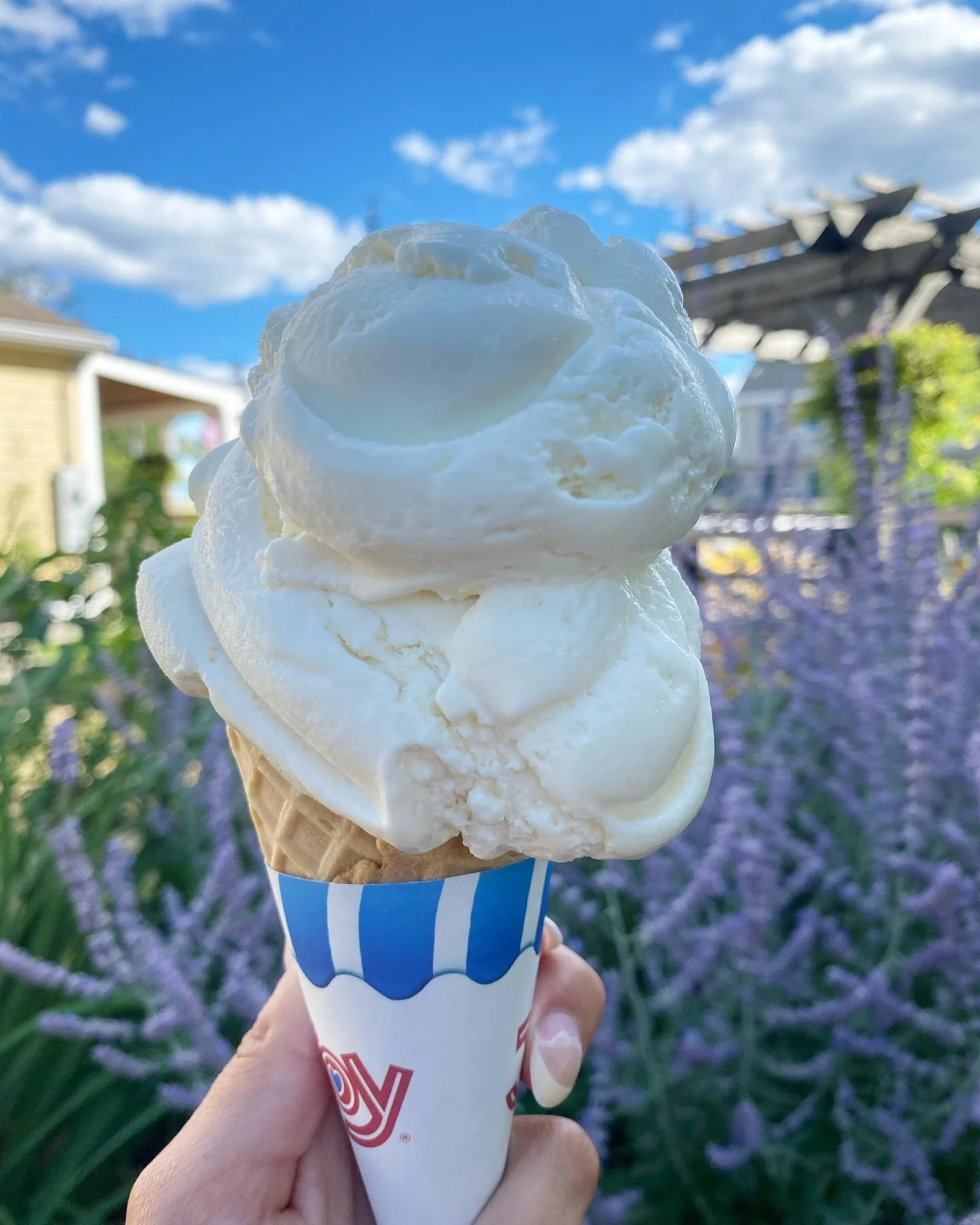 Back and better than ever... Honey Lavender😋 Come grab yours today! 

#downrivericecream #downriver #icecream  #localbusiness #essex #massachusetts #northshore #honeylavender
