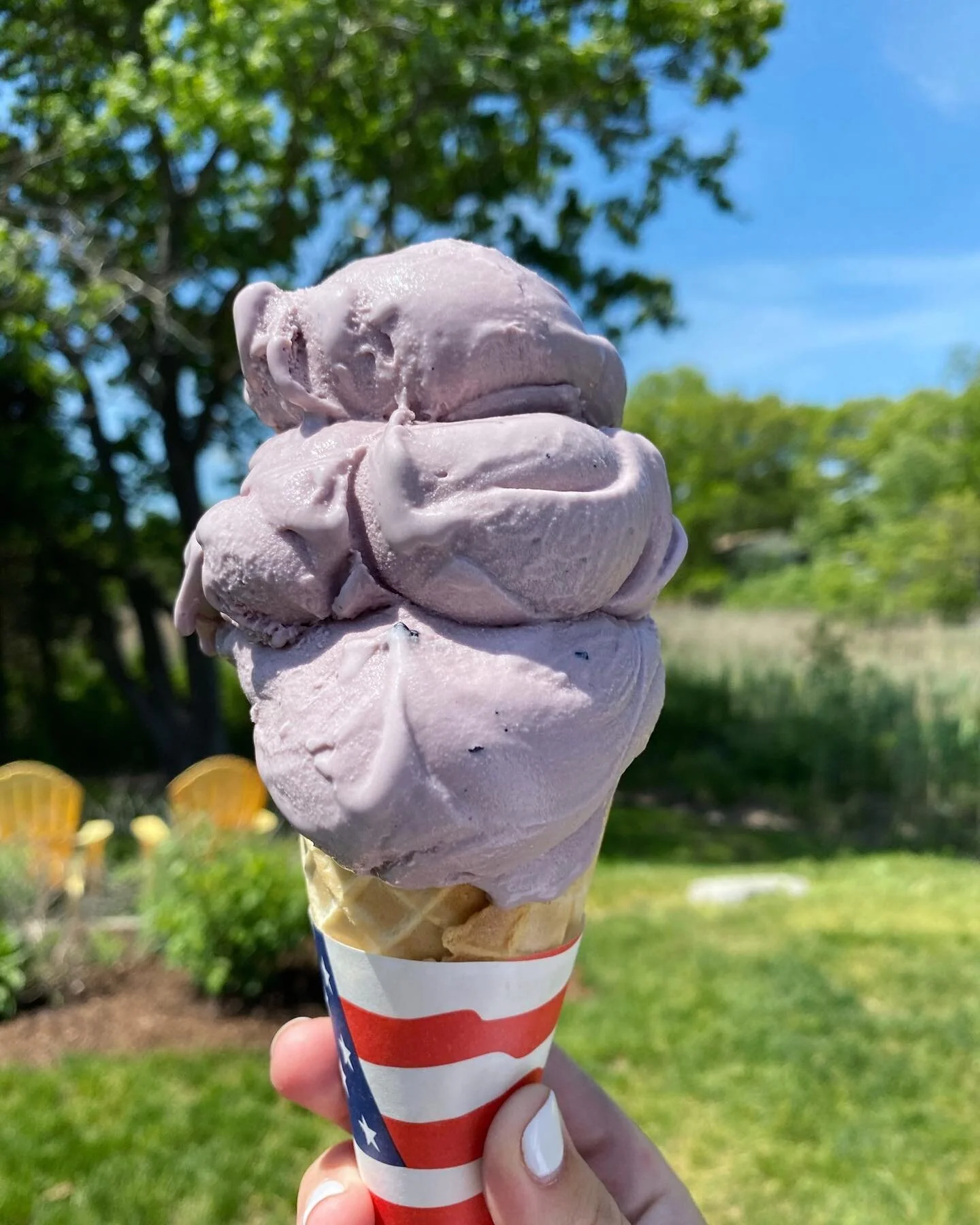 Blueberry is back🫐

#downrivericecream #downriver #icecream  #localbusiness #essex #massachusetts #northshore #blueberryicecream #blueberry