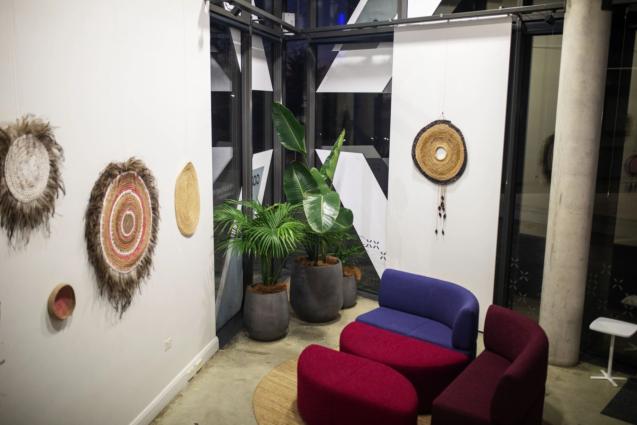 Canberra 2024 Exhibition Installation COX.jpg